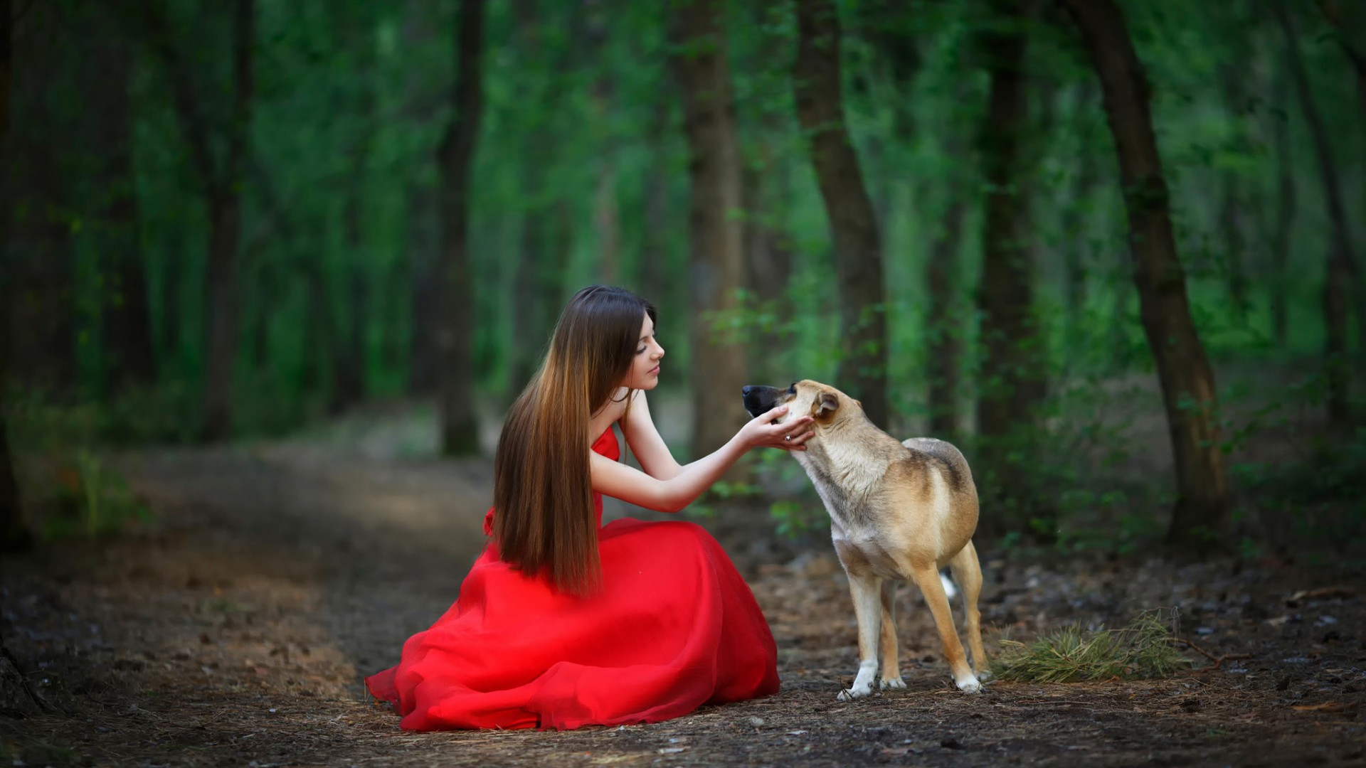 森林秘境，红裙女孩与萌犬，绝美风景壁纸免费下载
