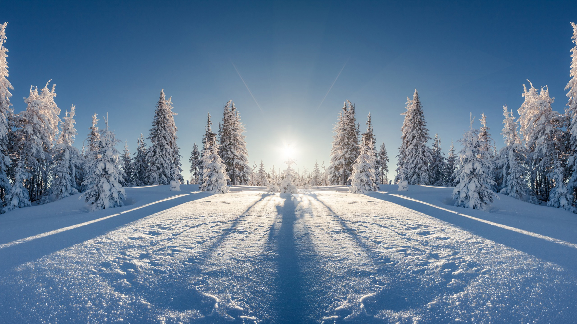 冬日暖阳，林间雪景，天空如画——免费高清风光壁纸下载