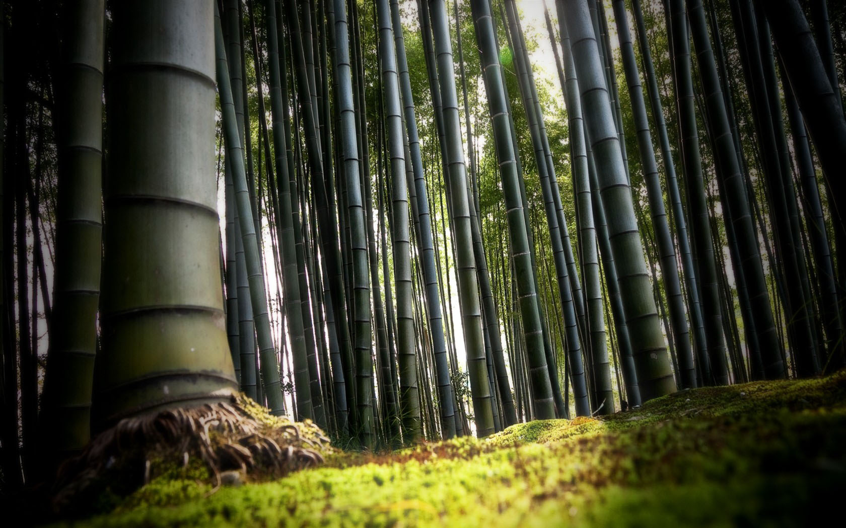 竹山风光桌面背景，免费高清壁纸一键下载
