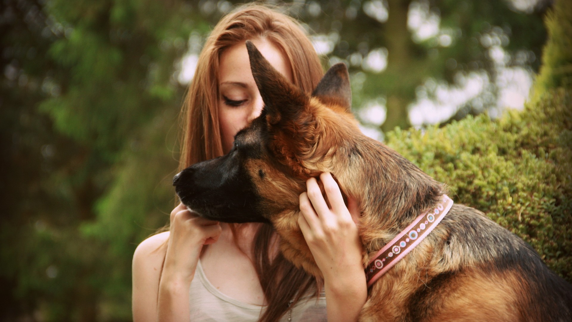 美女,女孩,德国牧羊犬,桌面壁纸