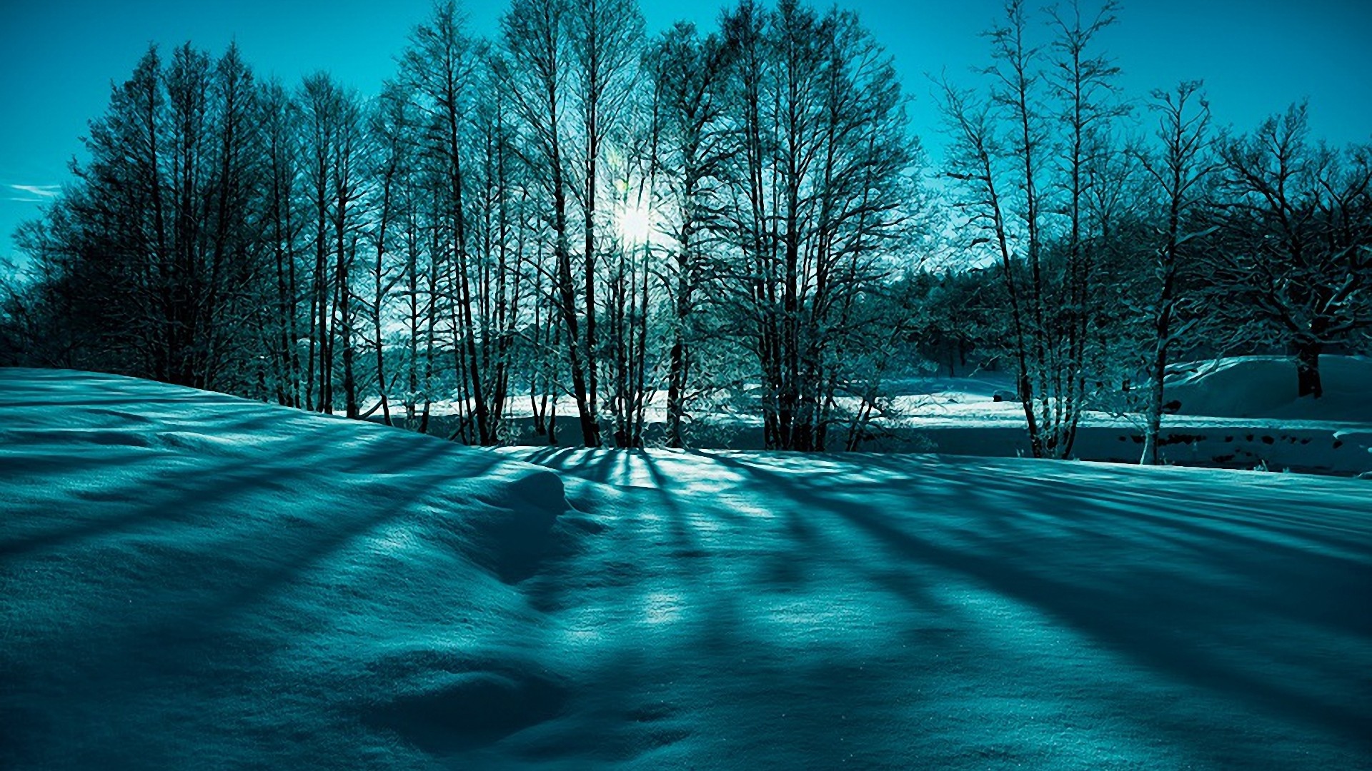 自然冬韵，雪树映日，深蓝色风景壁纸，免费电脑桌面美化下载