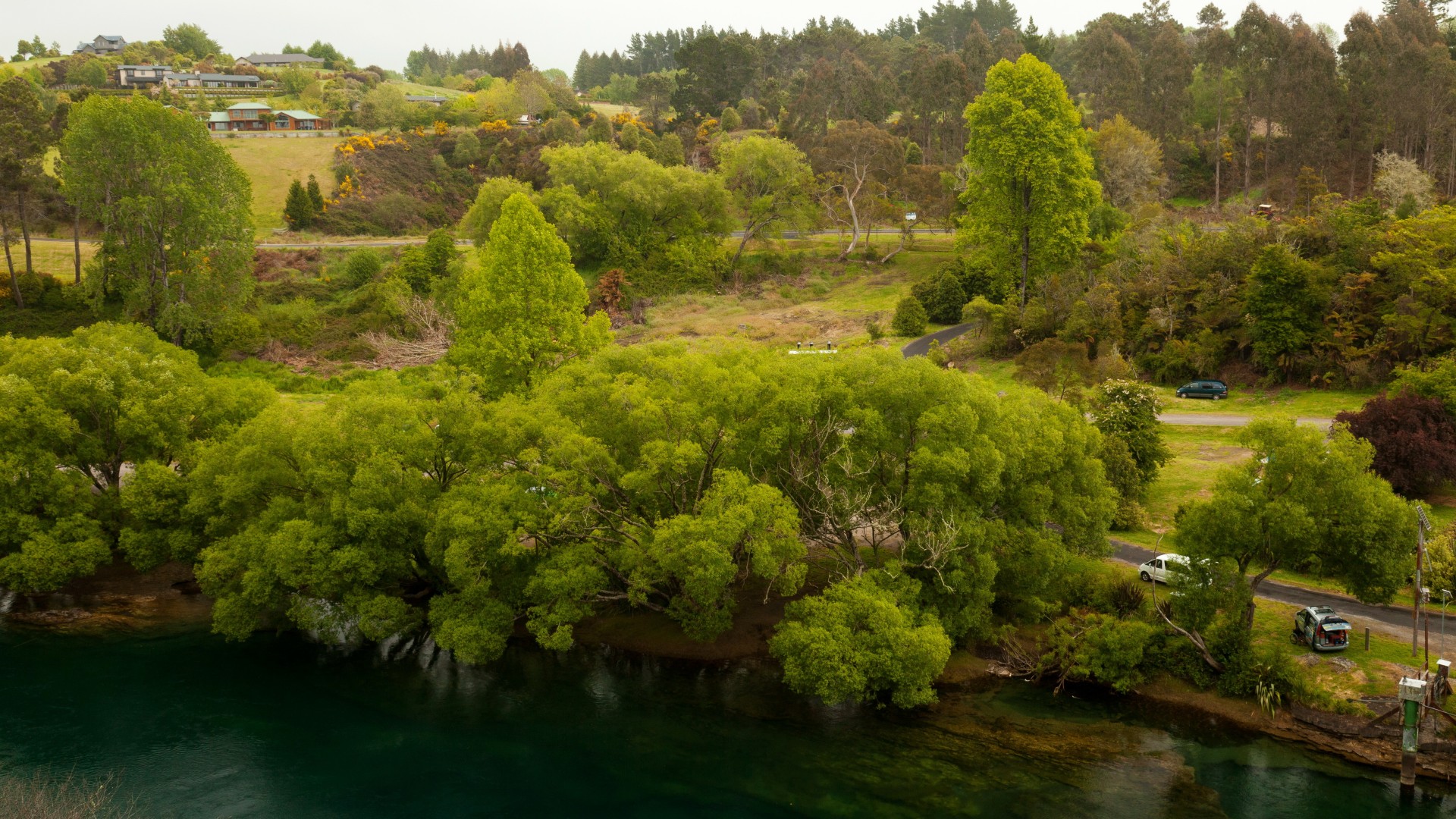 新西兰,怀卡托河,河流,树林,房子,公路,风景壁纸