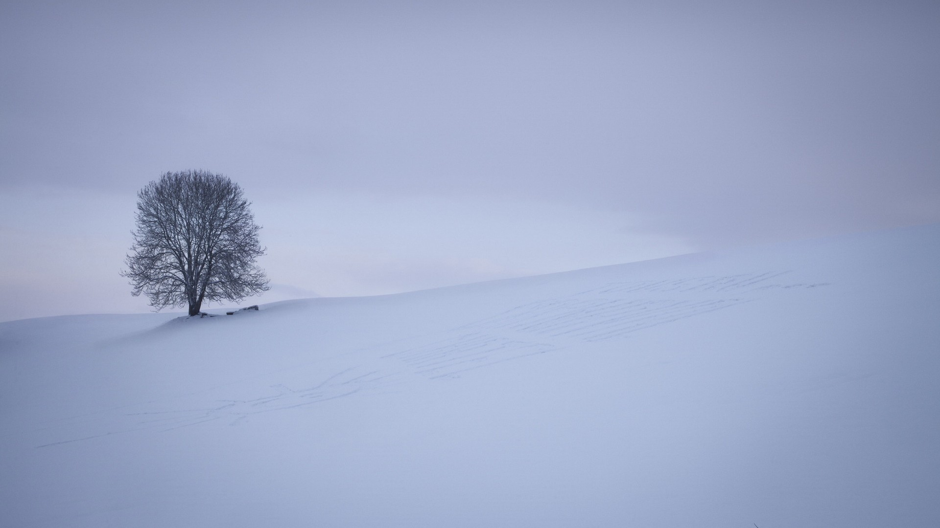 雪，雪地，树，简洁，风景桌面壁纸