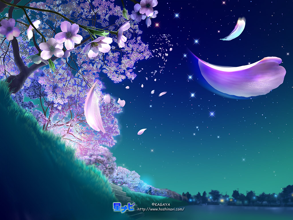 樱花之梦，绝美星空动漫壁纸，免费下载装点你的电脑桌面