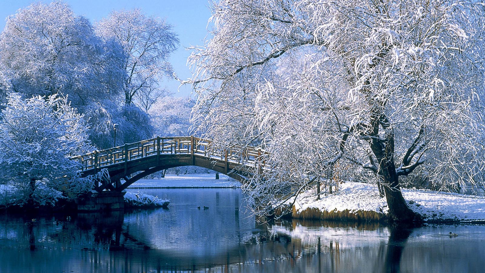 绝美雪景壁纸，免费下载，装点你的电脑桌面！