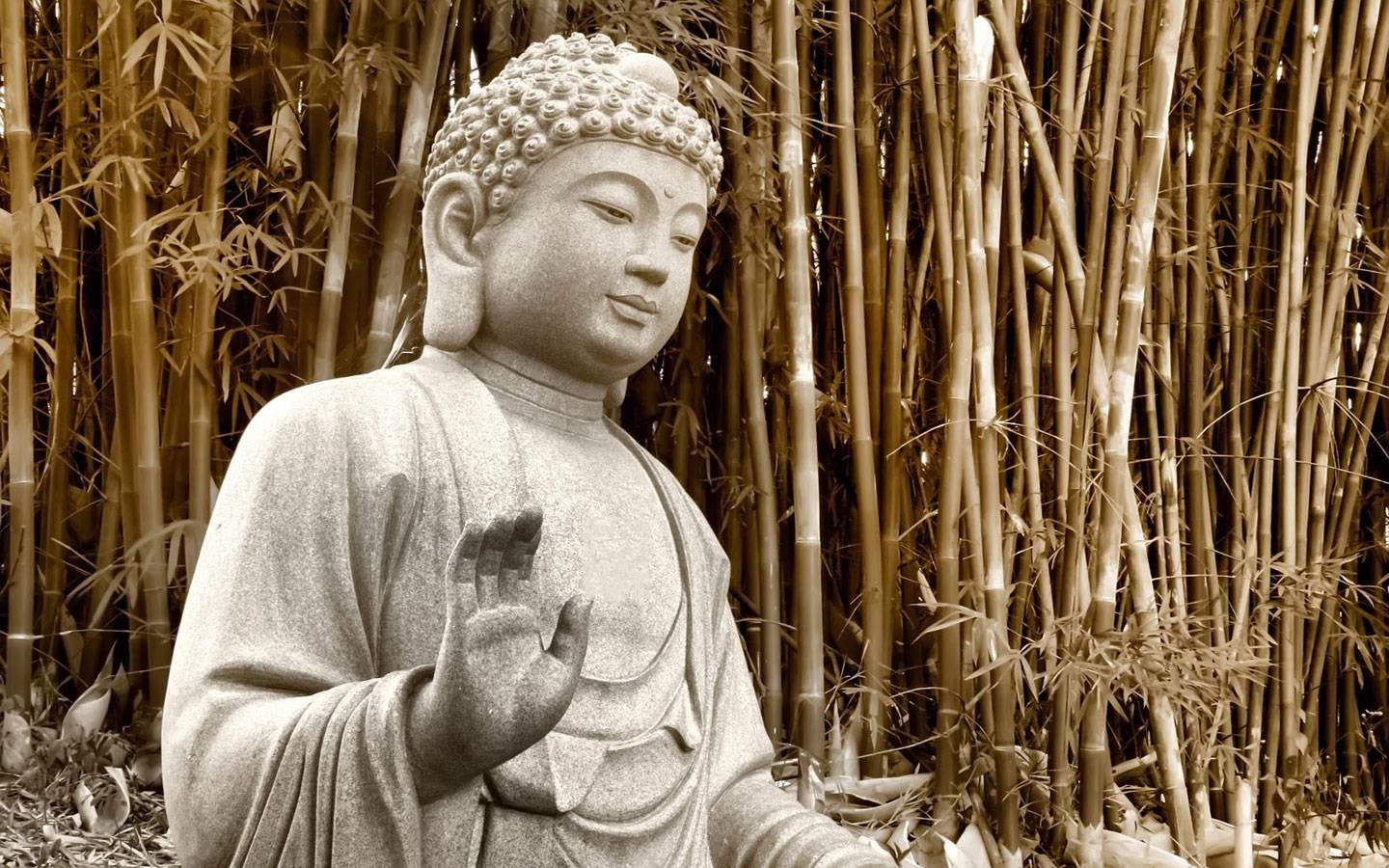 菩萨桌面背景图片