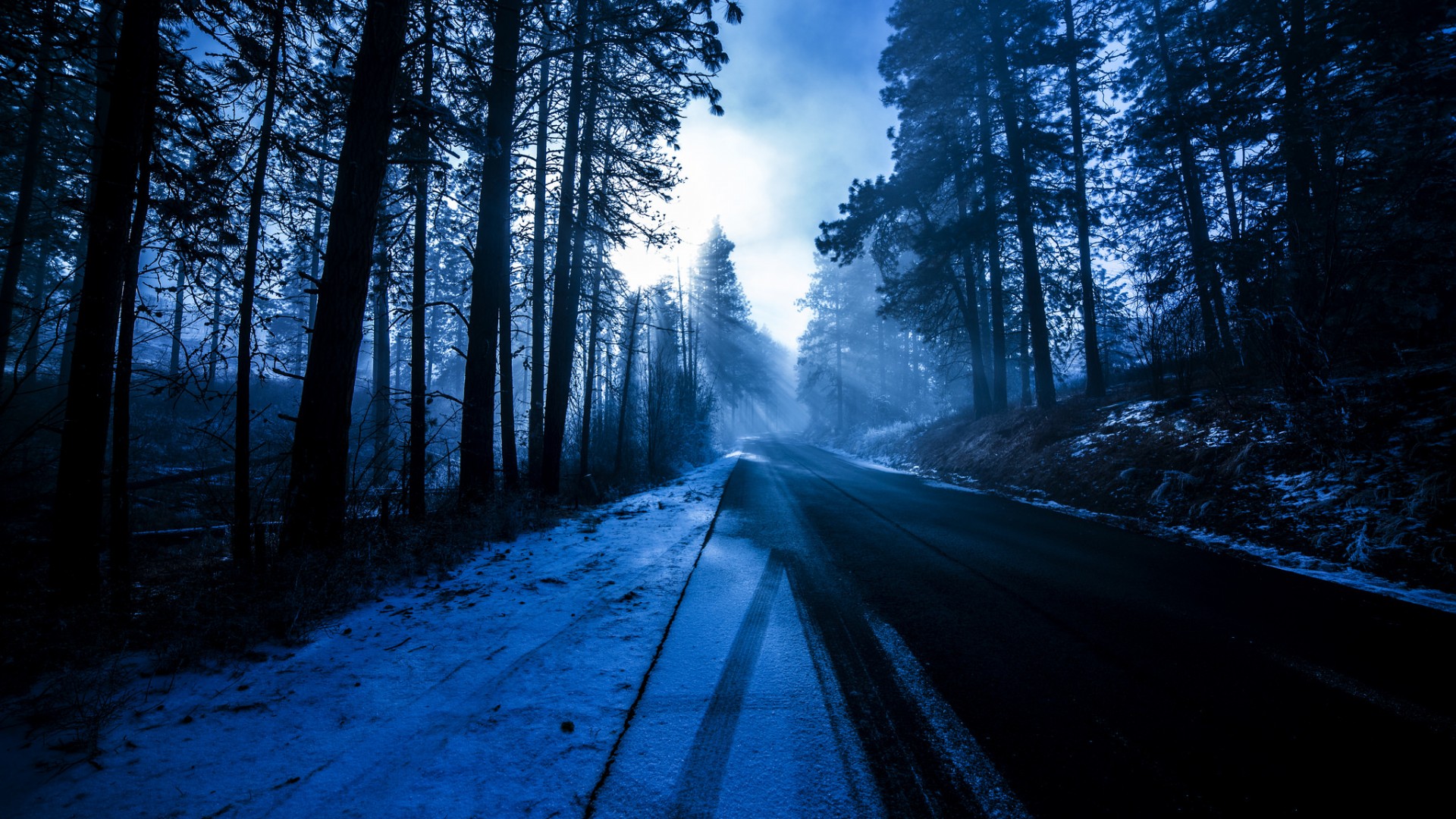树木雪林道景致，绝美电脑壁纸免费下载