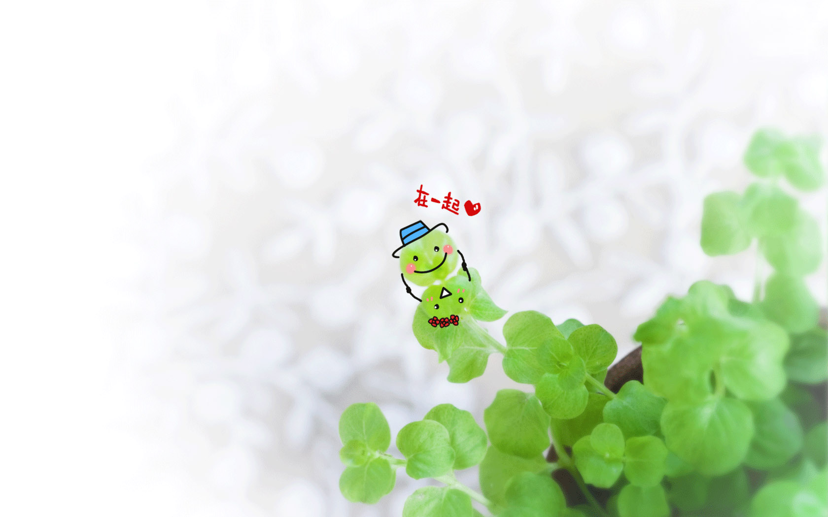 绿色可爱壁纸，免费电脑壁纸精选，一键下载！