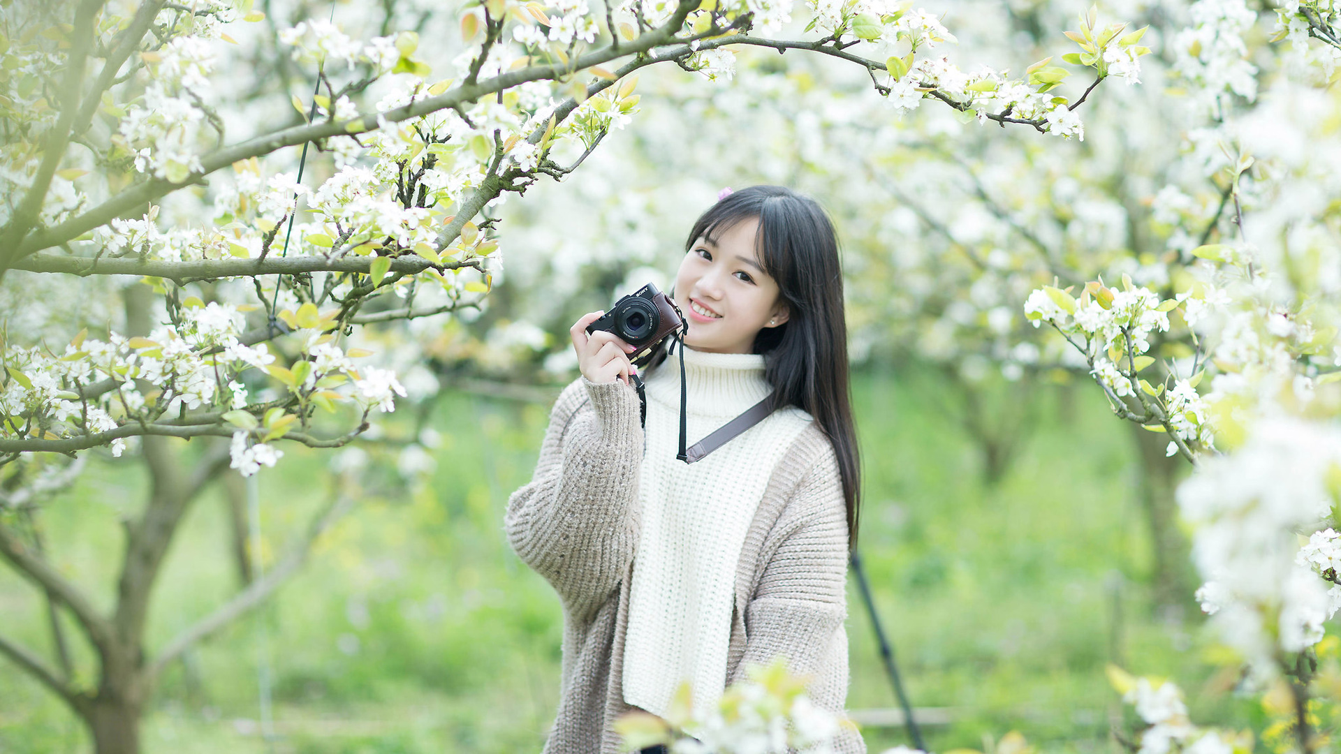 花开花落 甜美微笑的女孩桌面壁纸