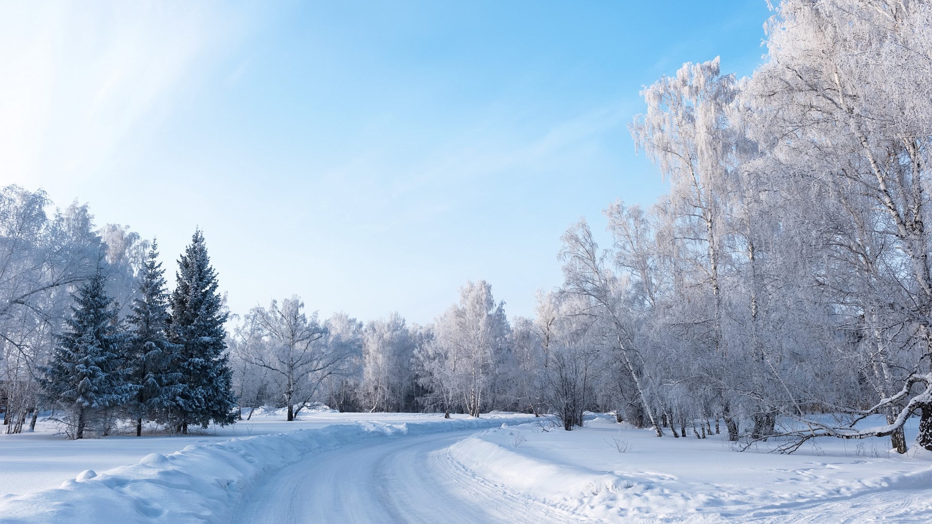 冬日自然雪景，树木公路景观，免费高清风景桌面壁纸下载