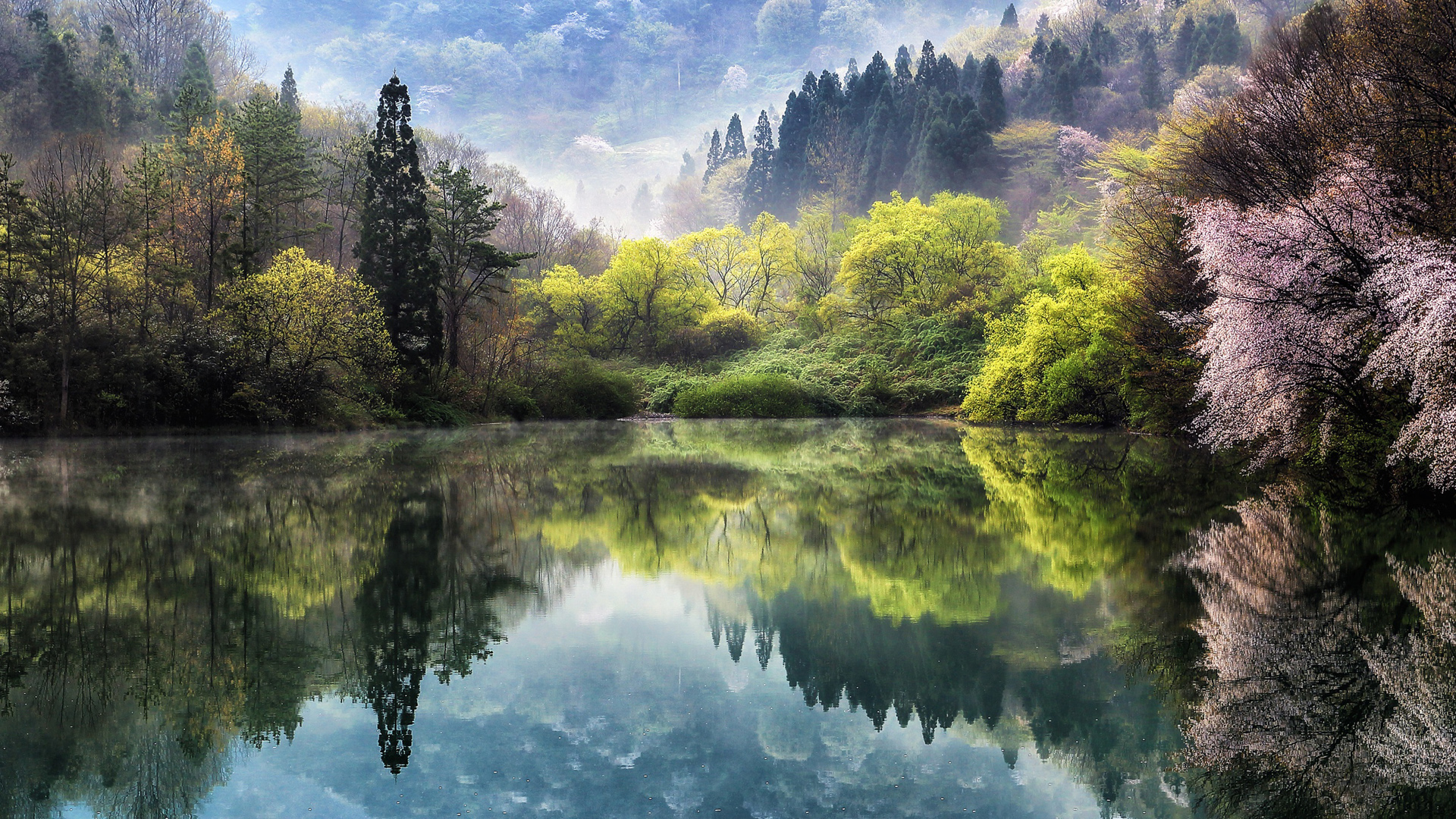 自然 湖 泉水 树林 樱花 风景桌面壁纸