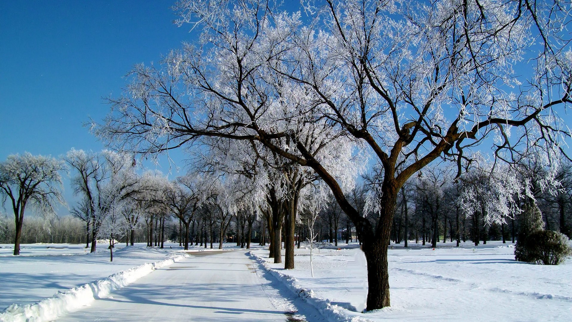 冬日天空雪景壁纸，霜覆路径，自然风景美图免费下载