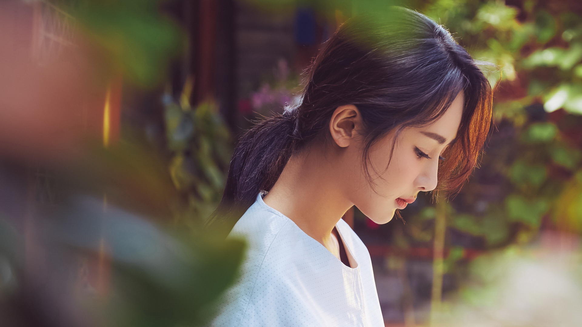 杨紫优雅倩影桌面壁纸，高清美女电脑壁纸免费下载