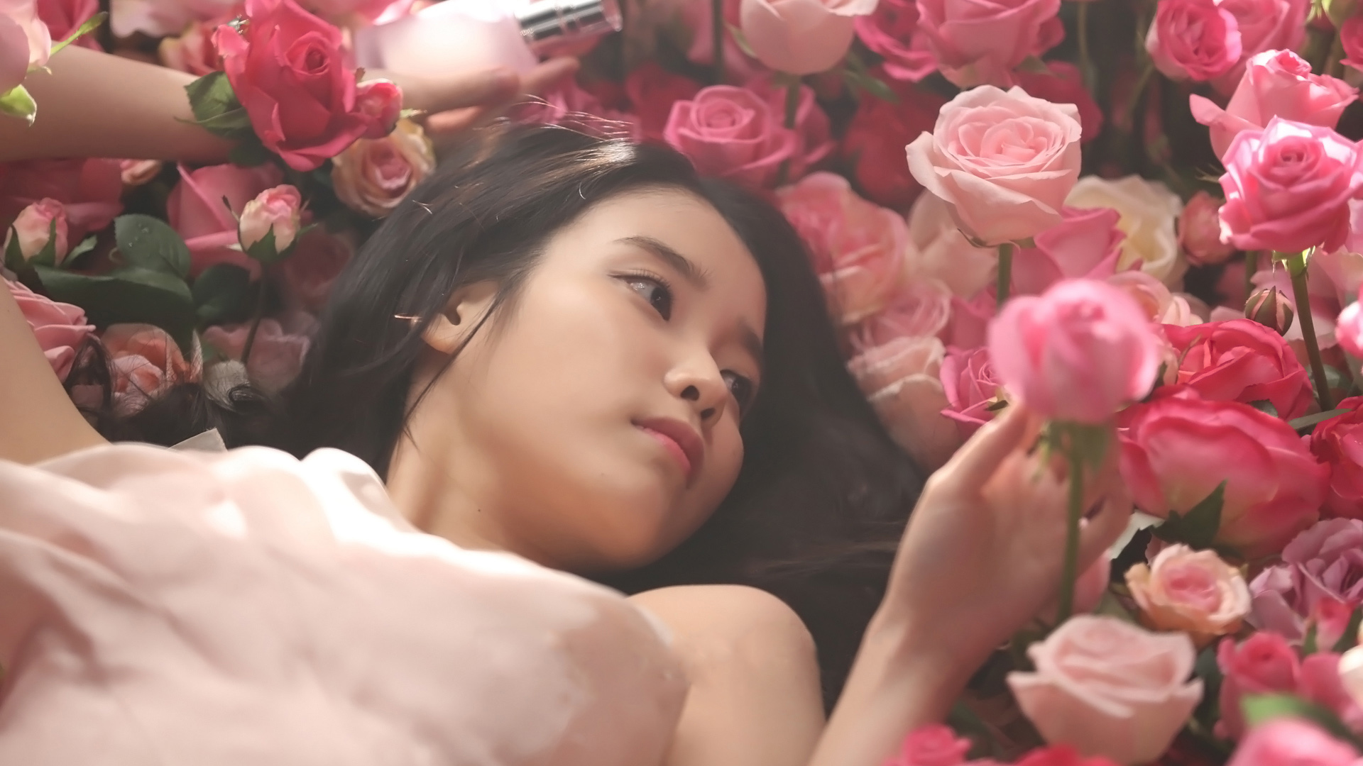 IU，李智恩，清纯，花朵，玫瑰，写真，美女壁纸