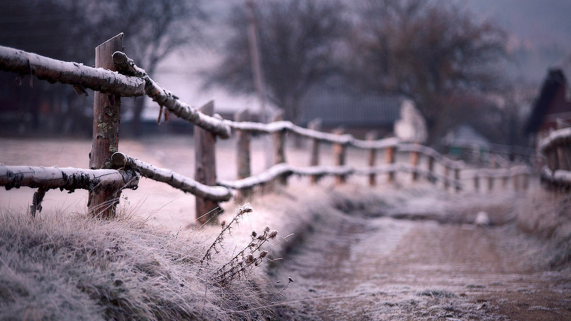 冬天雪景农村风景桌面壁纸