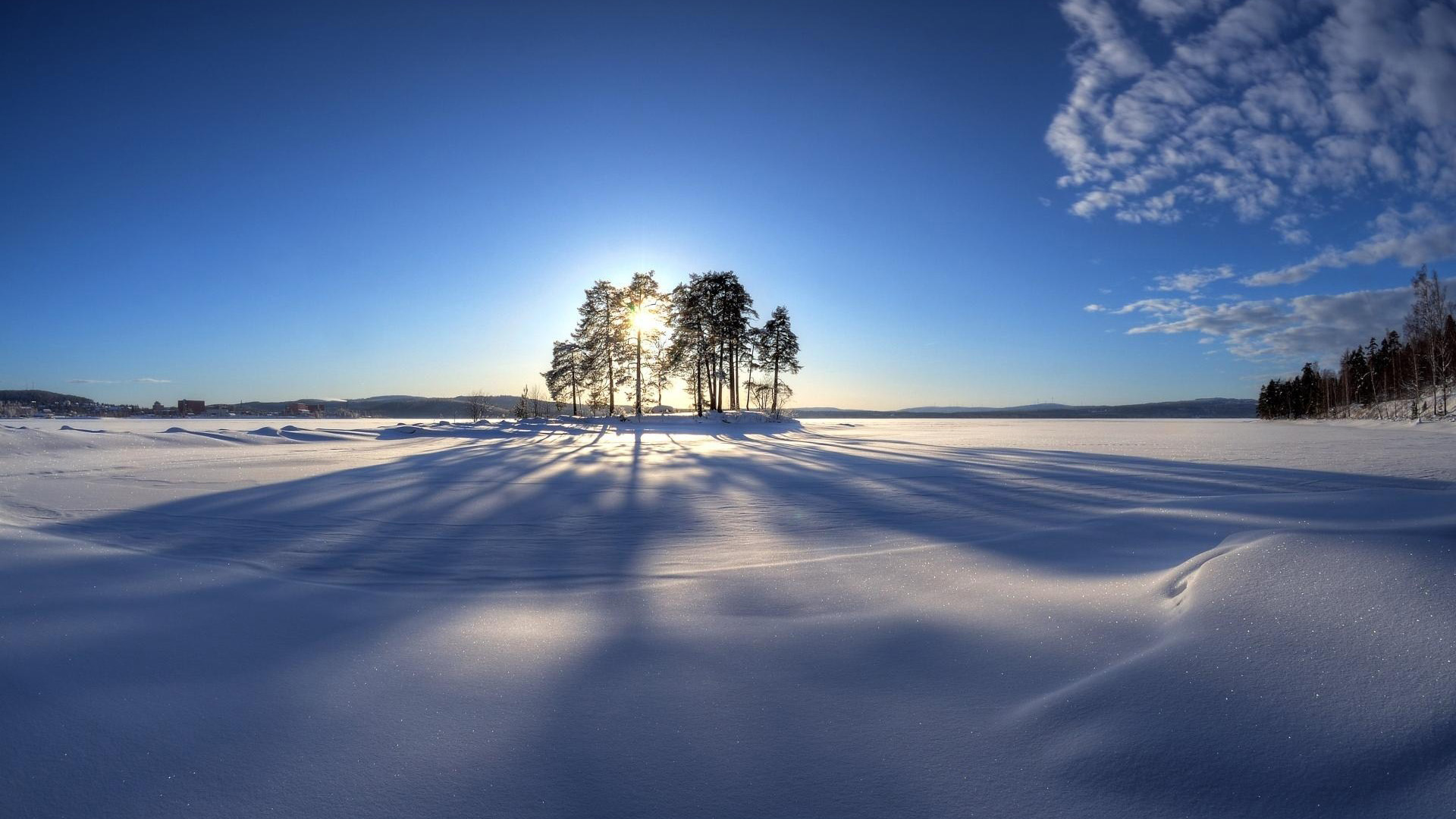 冬日暖阳下的雪景，绝美树影映蓝天，免费高清电脑壁纸下载