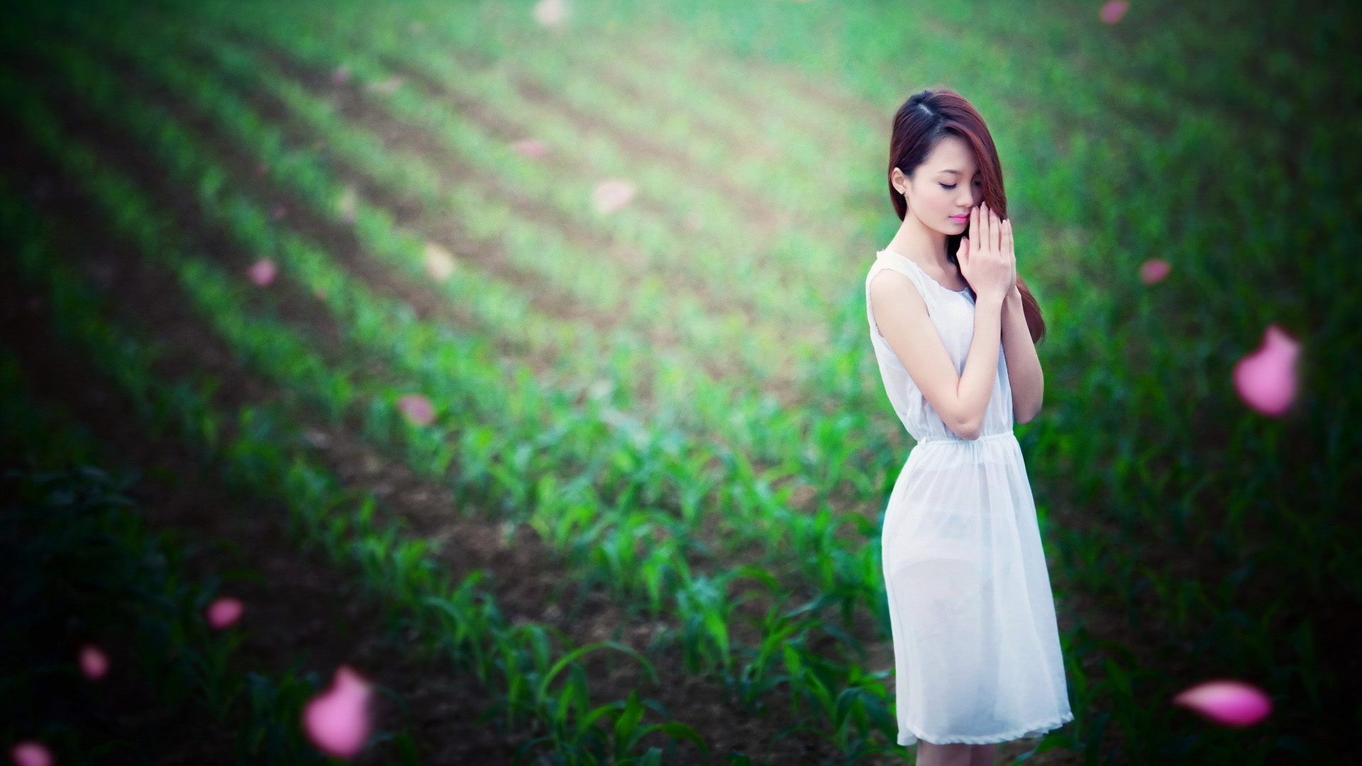 唯美桌面壁纸，漂亮女孩身着白色裙子，在花场祈祷，免费下载高清电脑壁纸