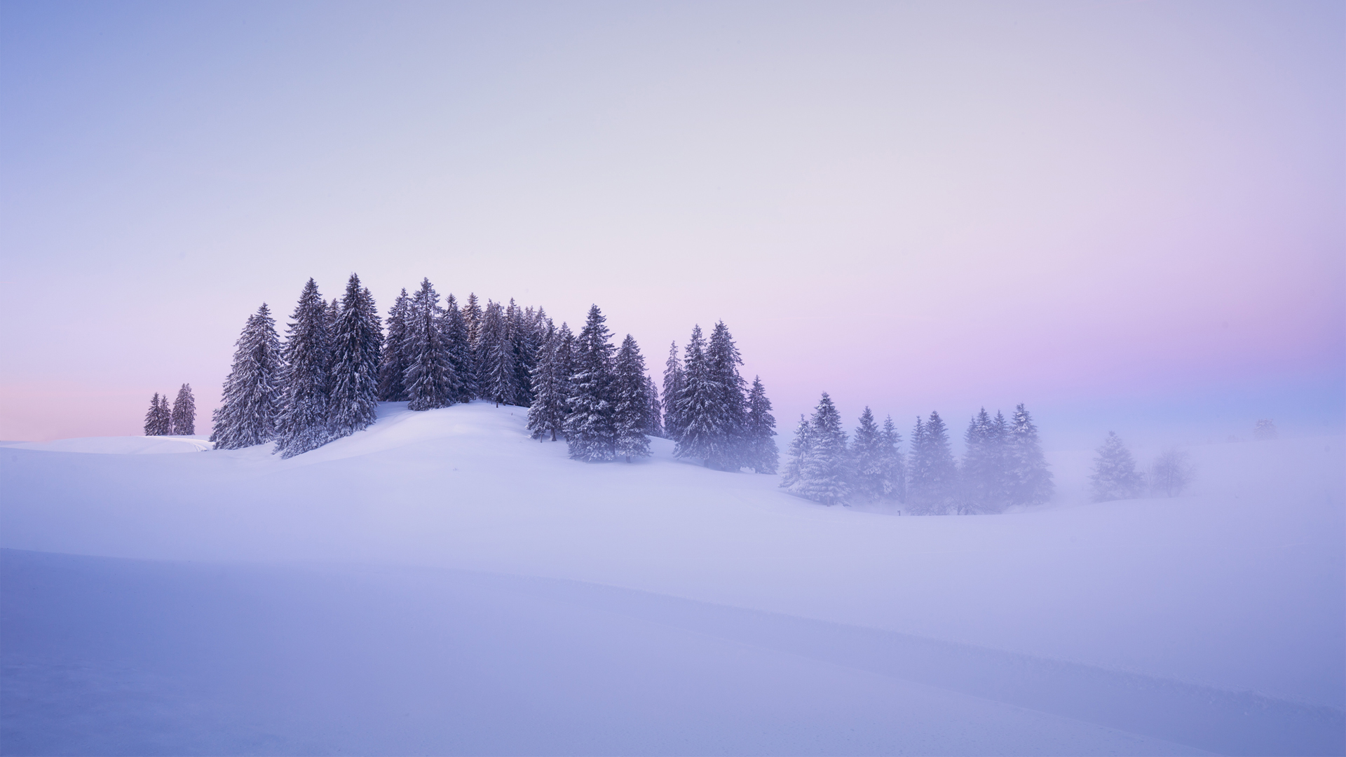 瑞士冬日雪景，树木披霜，自然之美尽展无遗，免费下载超清电脑壁纸