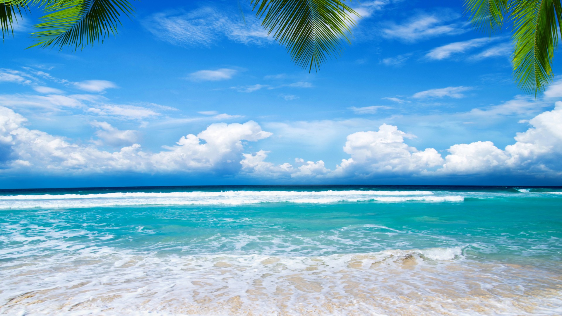 夏日海滩风情，热带天堂，棕榈摇曳，绝美自然风景壁纸免费下载！