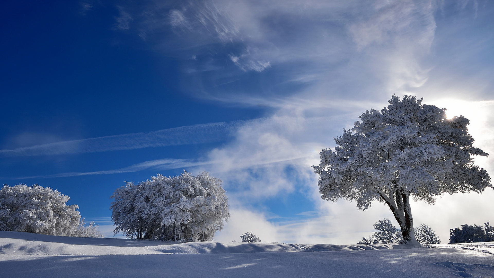 冬日雪景，树木银装，自然之美——免费下载绝美风景壁纸