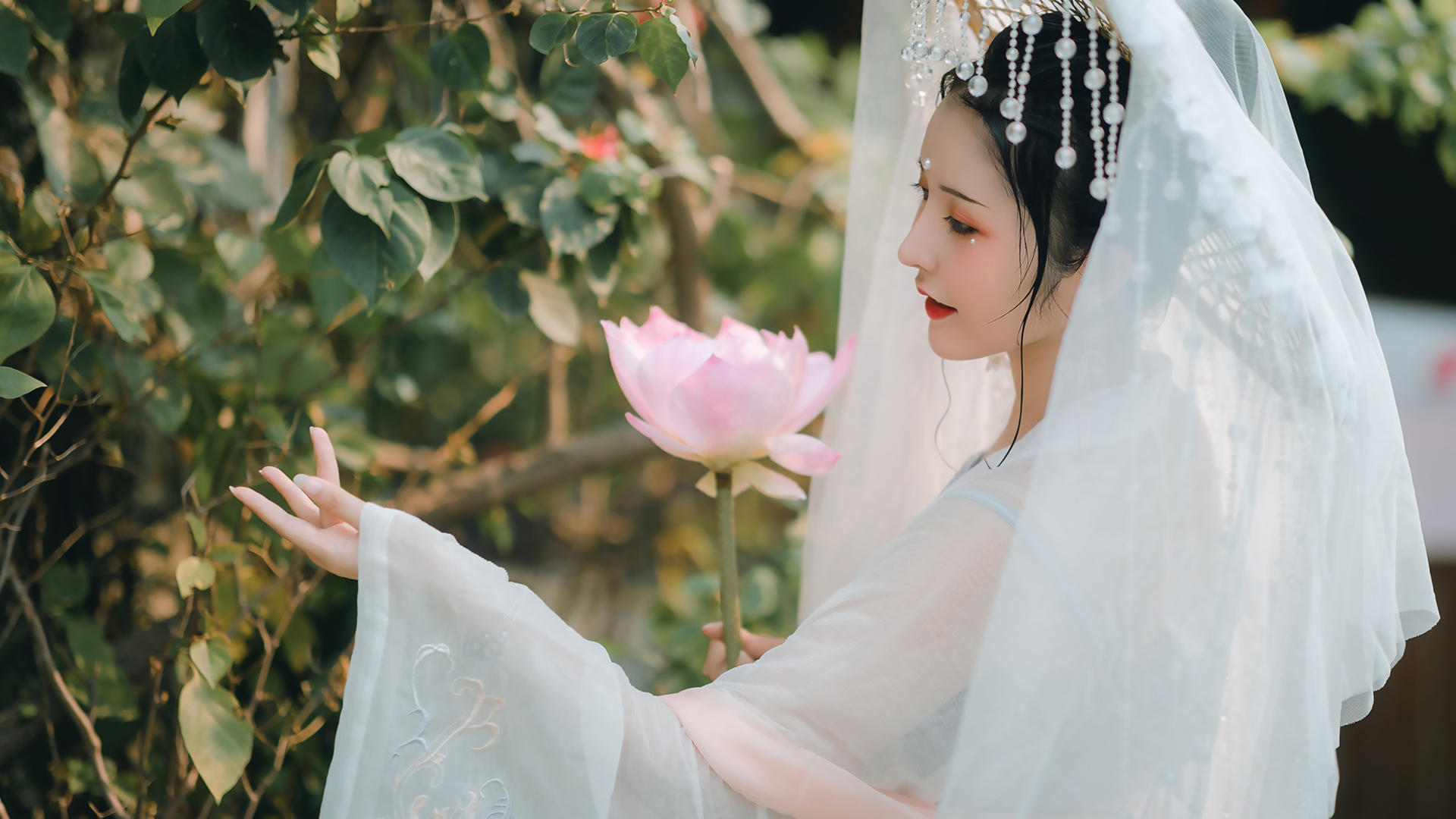清纯古装美女赏荷图，唯美斗笠帷帽壁纸，免费下载装点你的电脑桌面