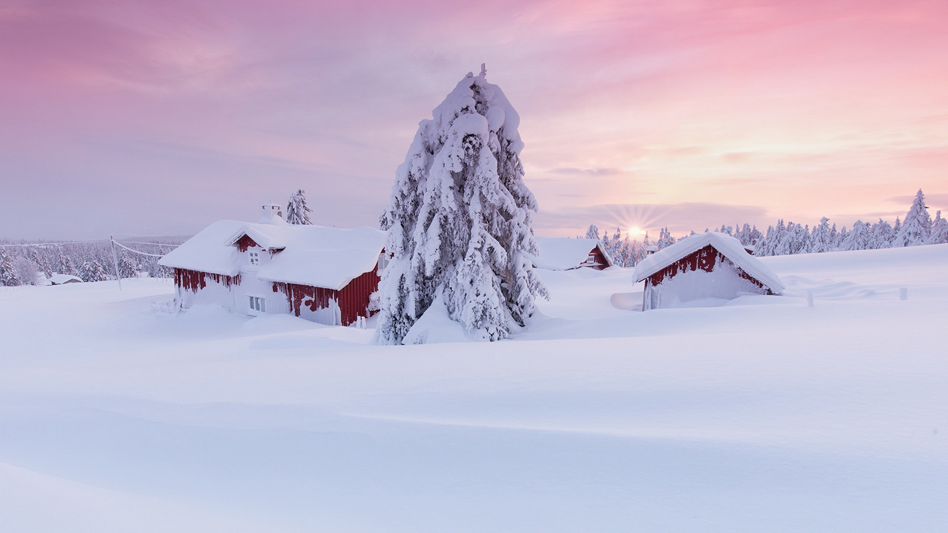 冬日晨光雪景，树裹银装，房映白雪，绝美风景壁纸免费下载
