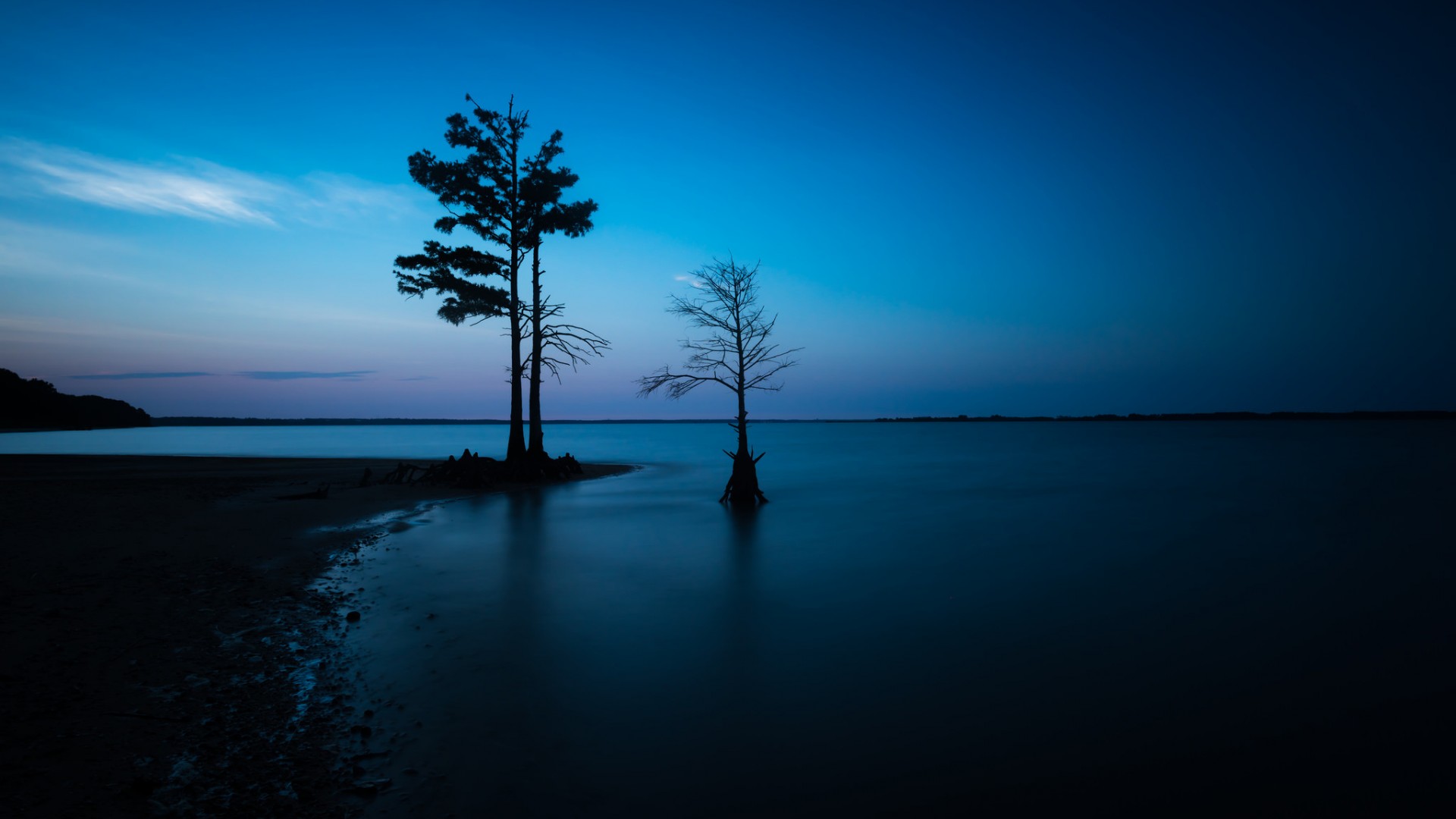 夜晚海边树影婆娑，星空璀璨——绝美风景壁纸免费下载