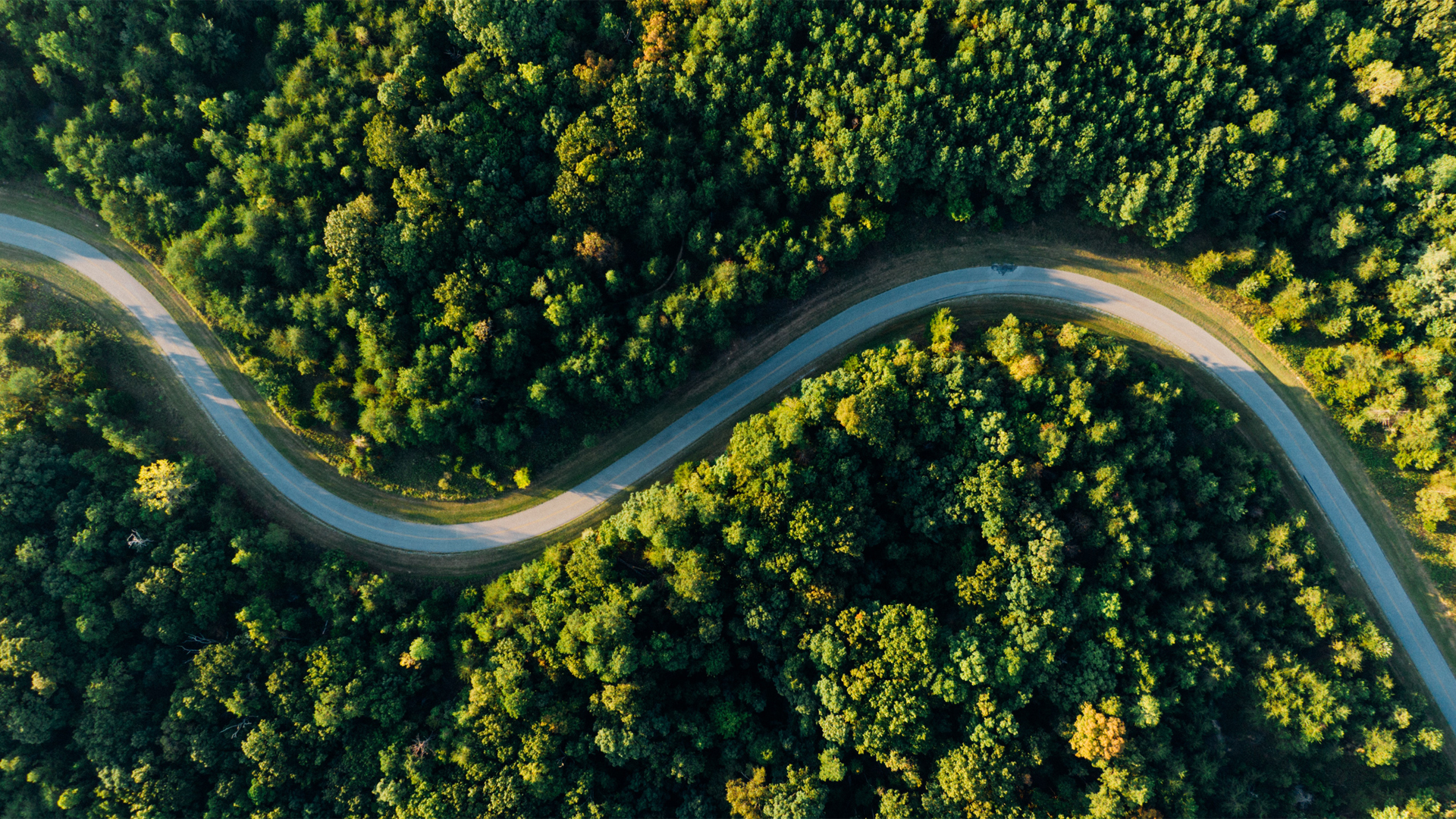 护眼绿色森林公路航拍风景壁纸