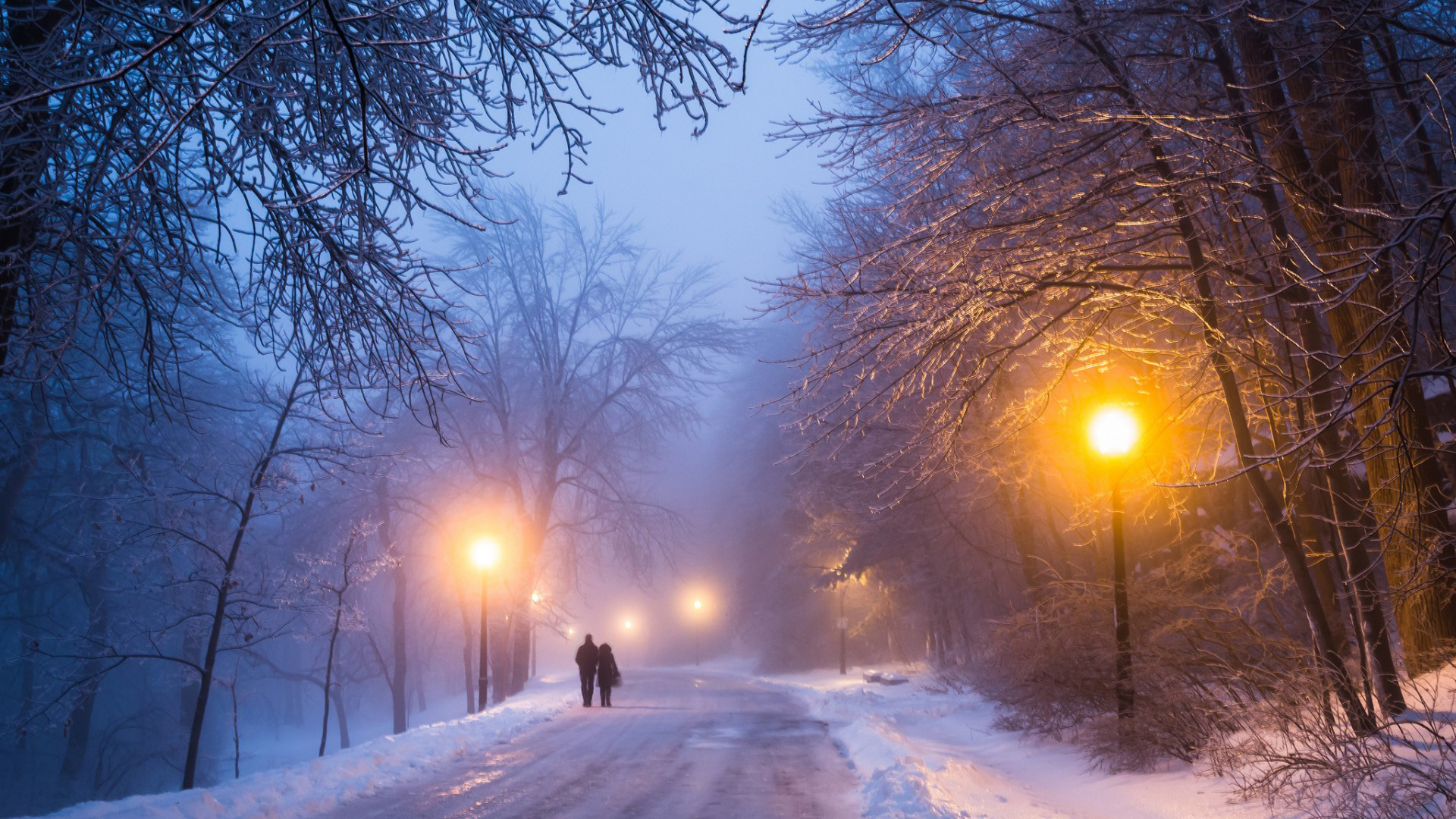 冬日恋歌，夜晚树林雪景浪漫情侣壁纸，免费下载电脑桌面背景