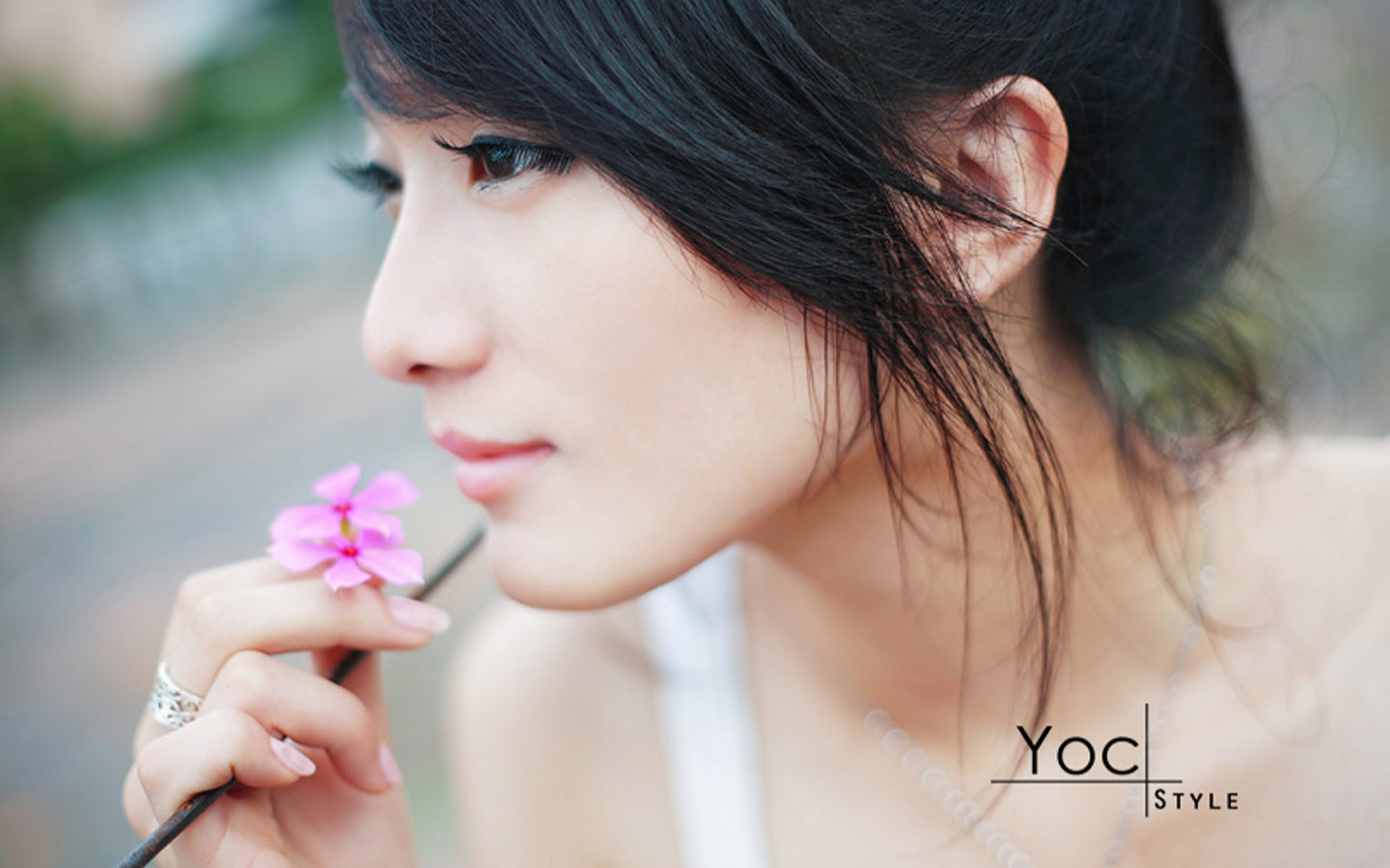 美女一枝梅桌面壁纸