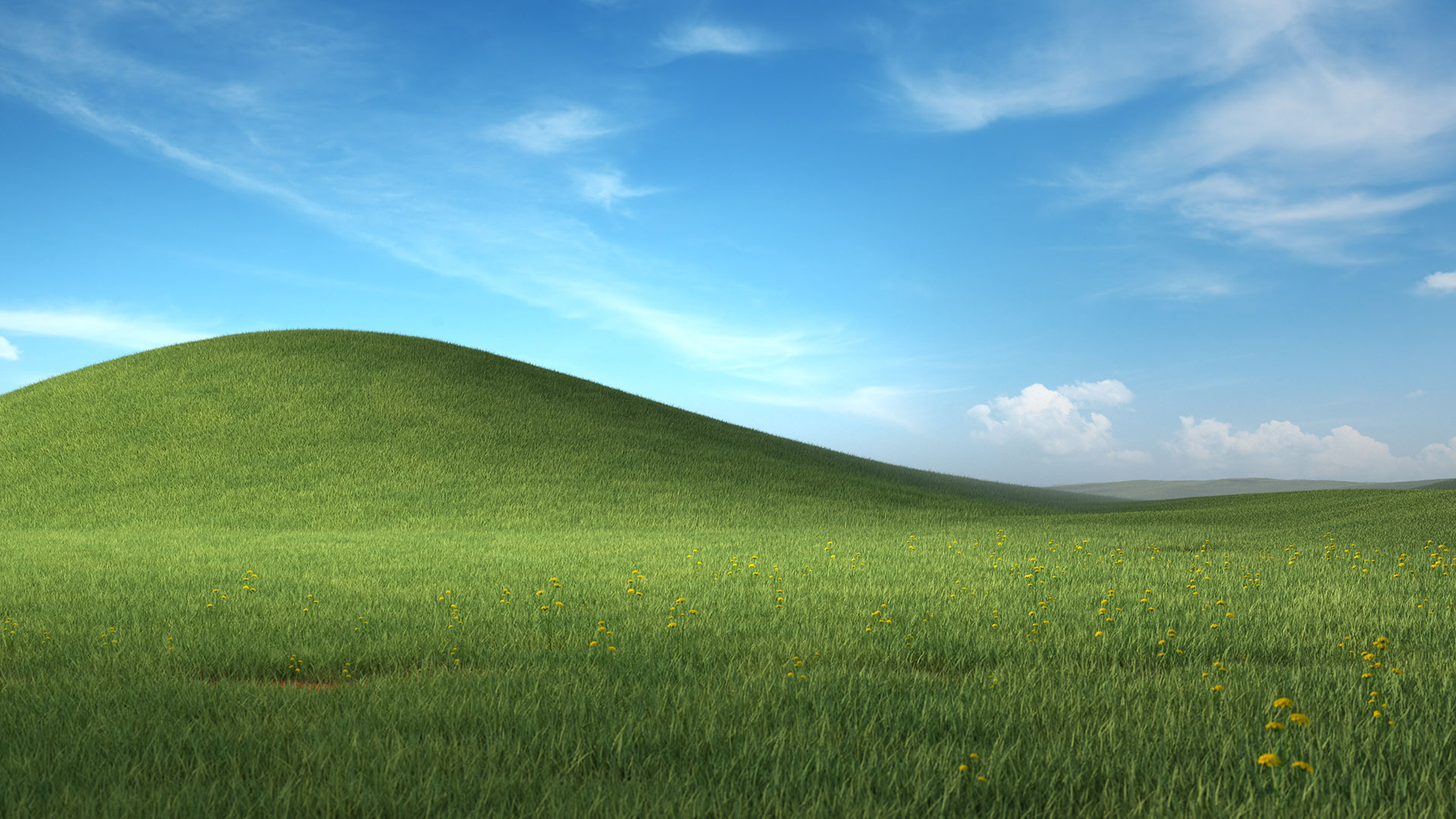 微软Windows XP，蓝天白云绿草地，唯美蒲公英壁纸免费下载