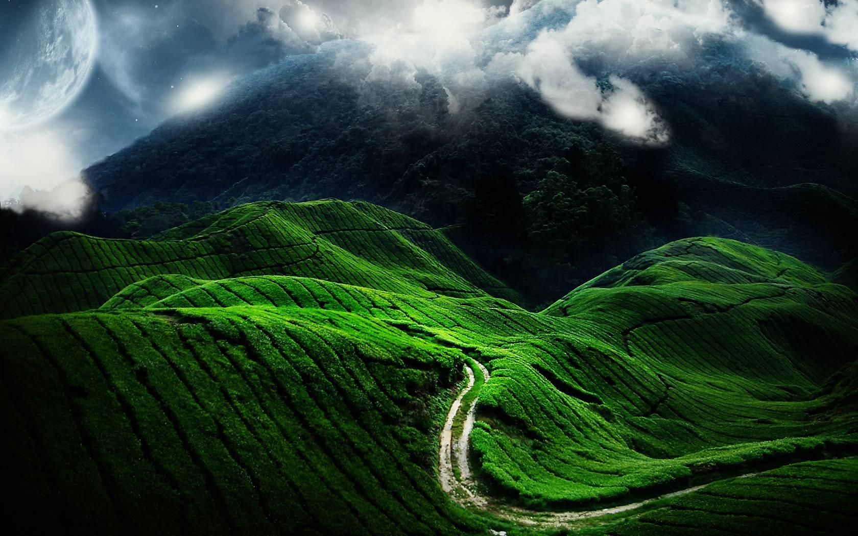 回家的路风景桌面壁纸