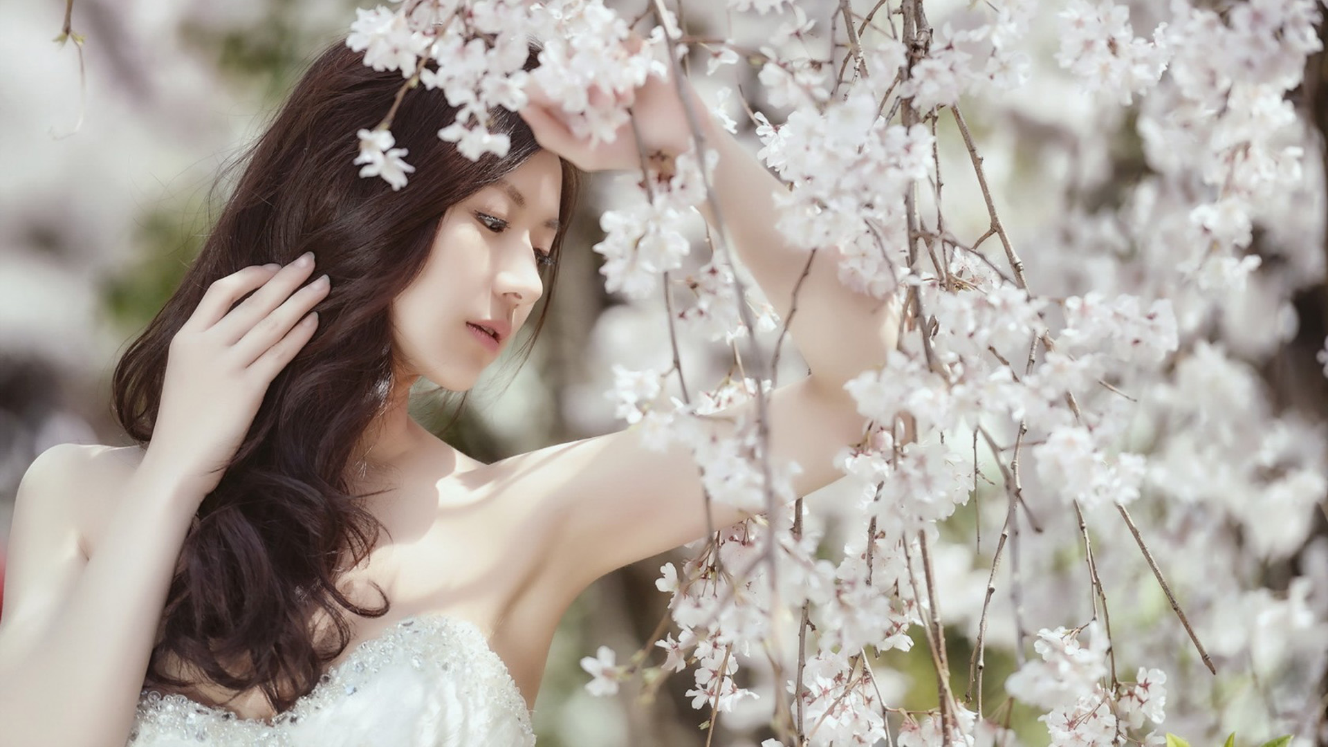 浪漫花树美女壁纸，精选高清电脑壁纸免费下载