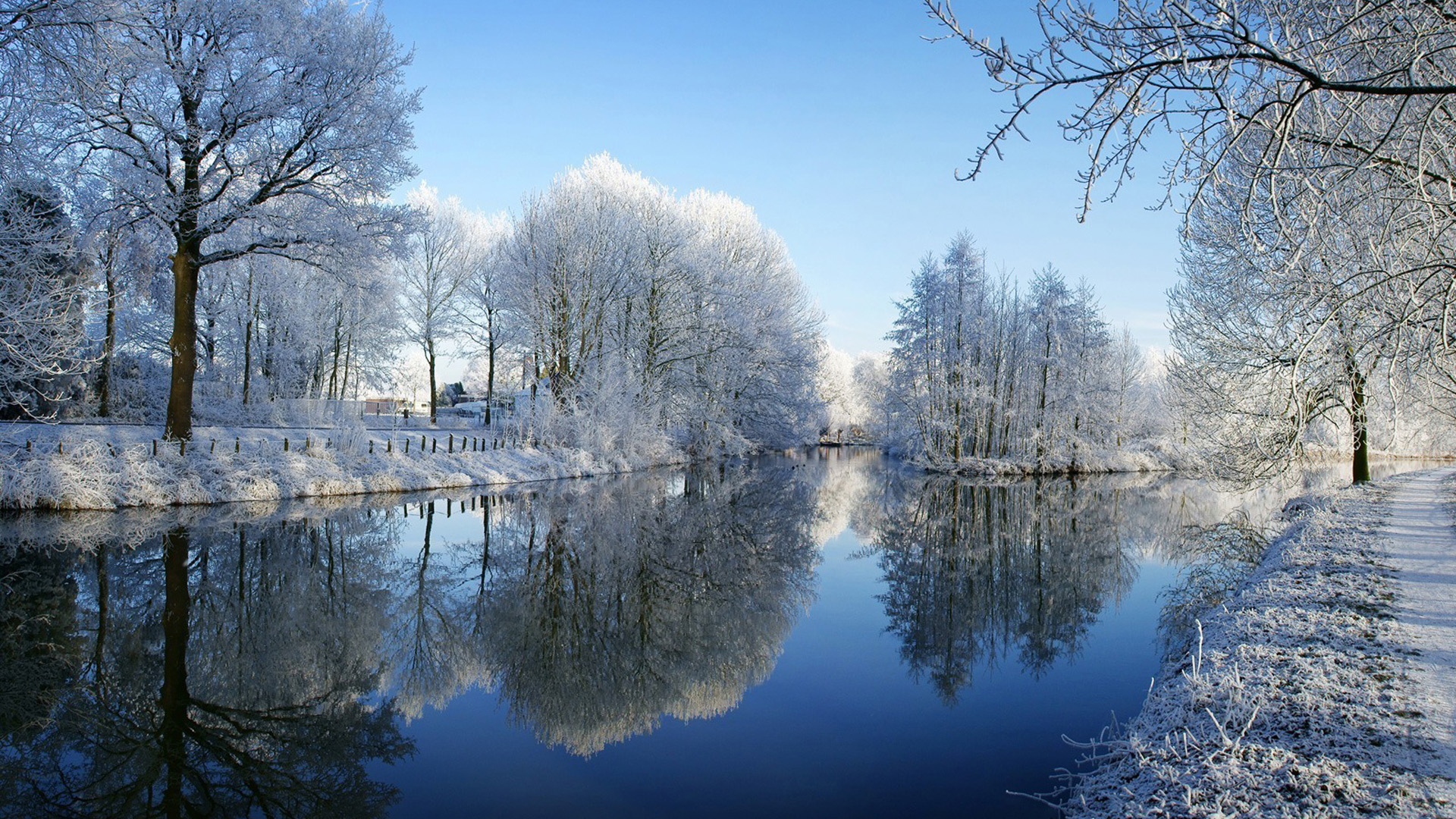 冬日河畔霜雪树影，美景如画，免费电脑壁纸下载