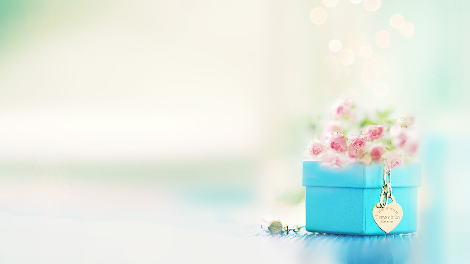花的乐曲，精选花卉桌面壁纸，免费下载，美化你的电脑桌面！