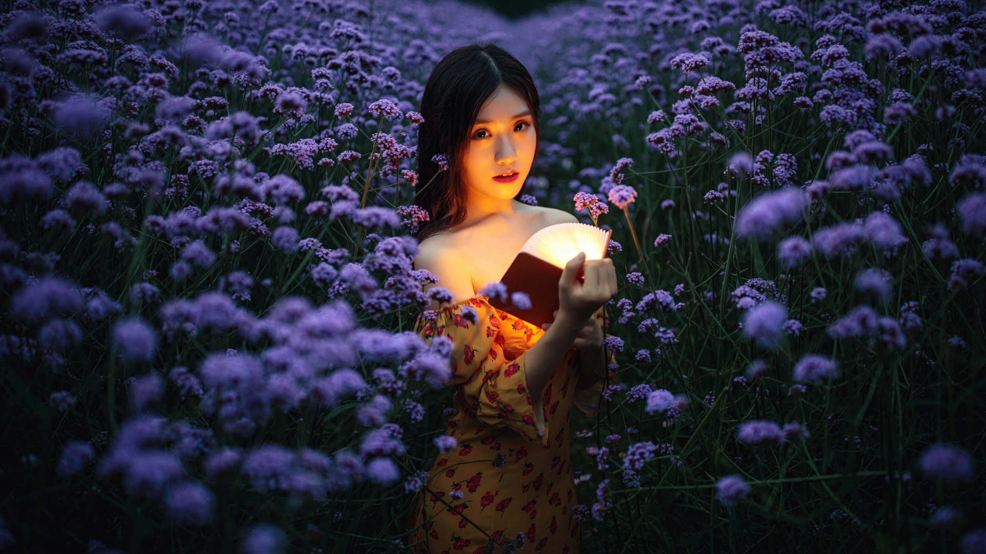 花海夜色，美女读书唯美壁纸，免费电脑壁纸高清下载