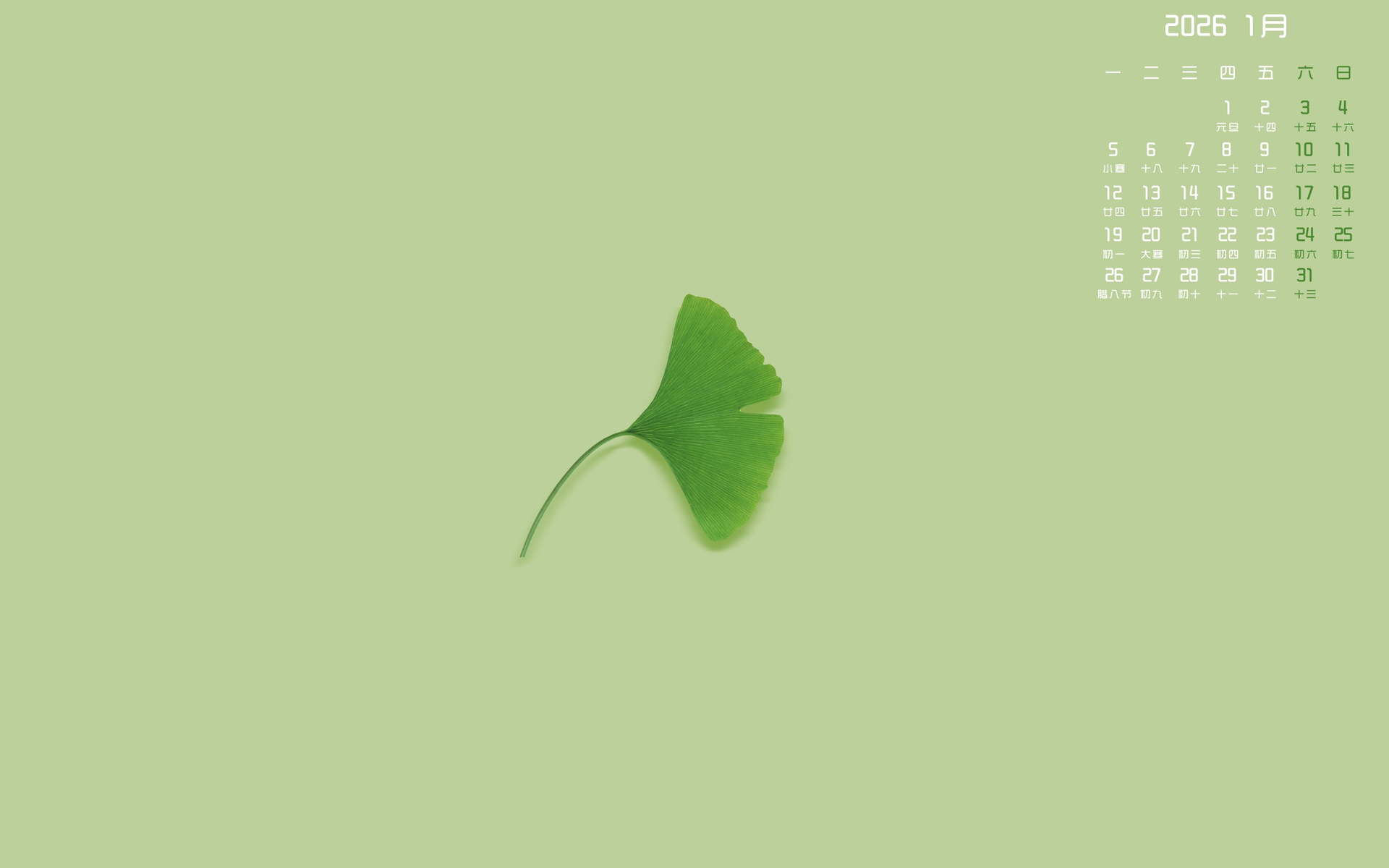 幸运叶2026年1月高清护眼日历免费电脑壁纸下载