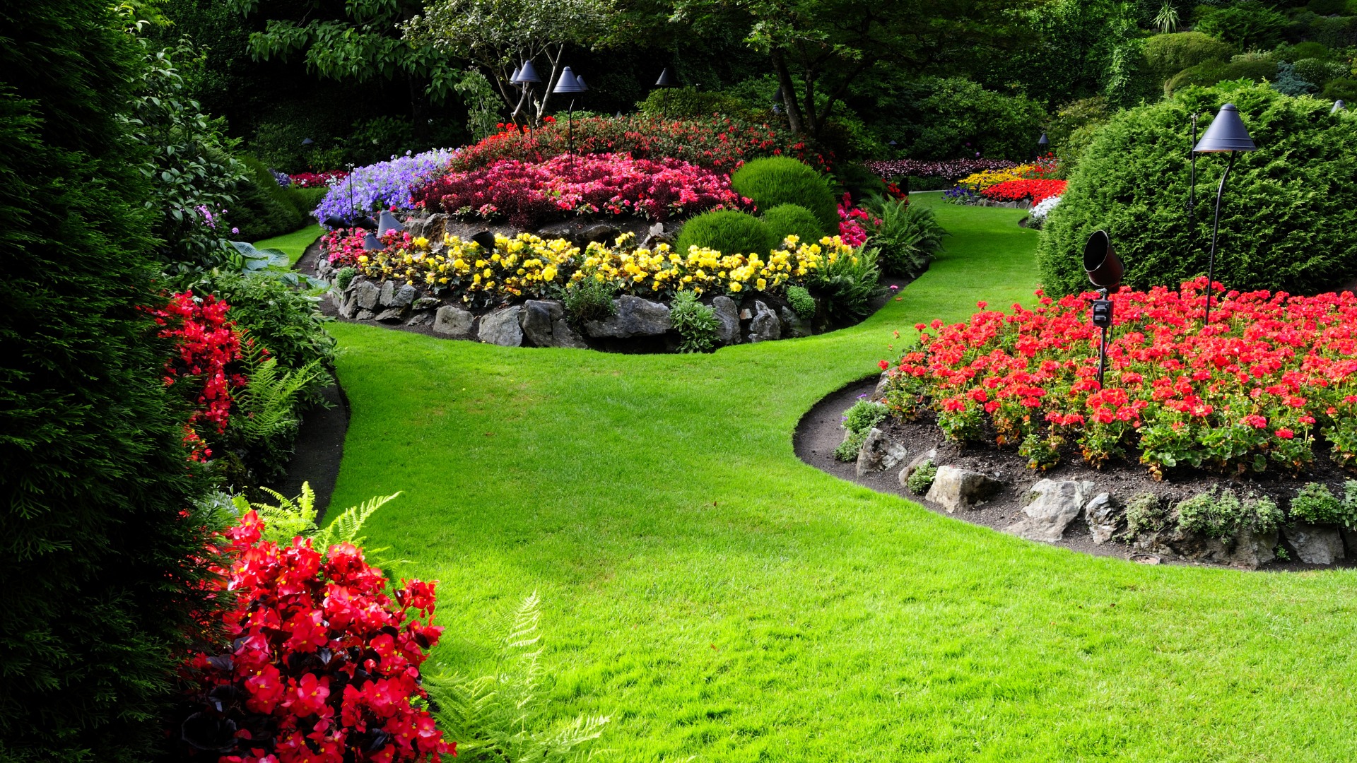 自然之美，花园草坪鲜花树林高清风景壁纸，免费下载电脑桌面背景
