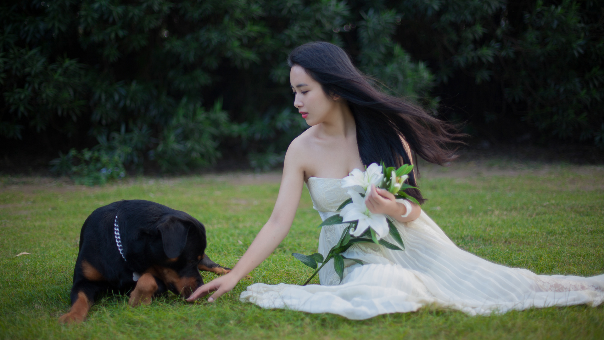 清新草坪美女壁纸，免费下载装点你的桌面