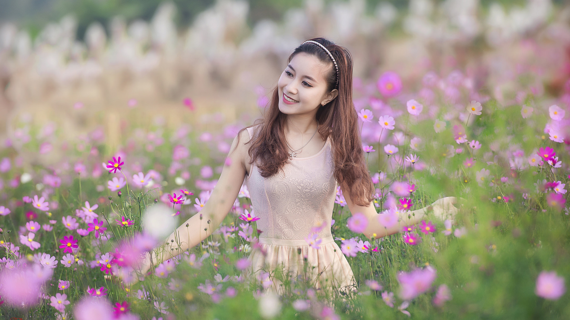 清新花海，粉色小花绽放，美女桌面壁纸免费下载，点亮美丽心情！