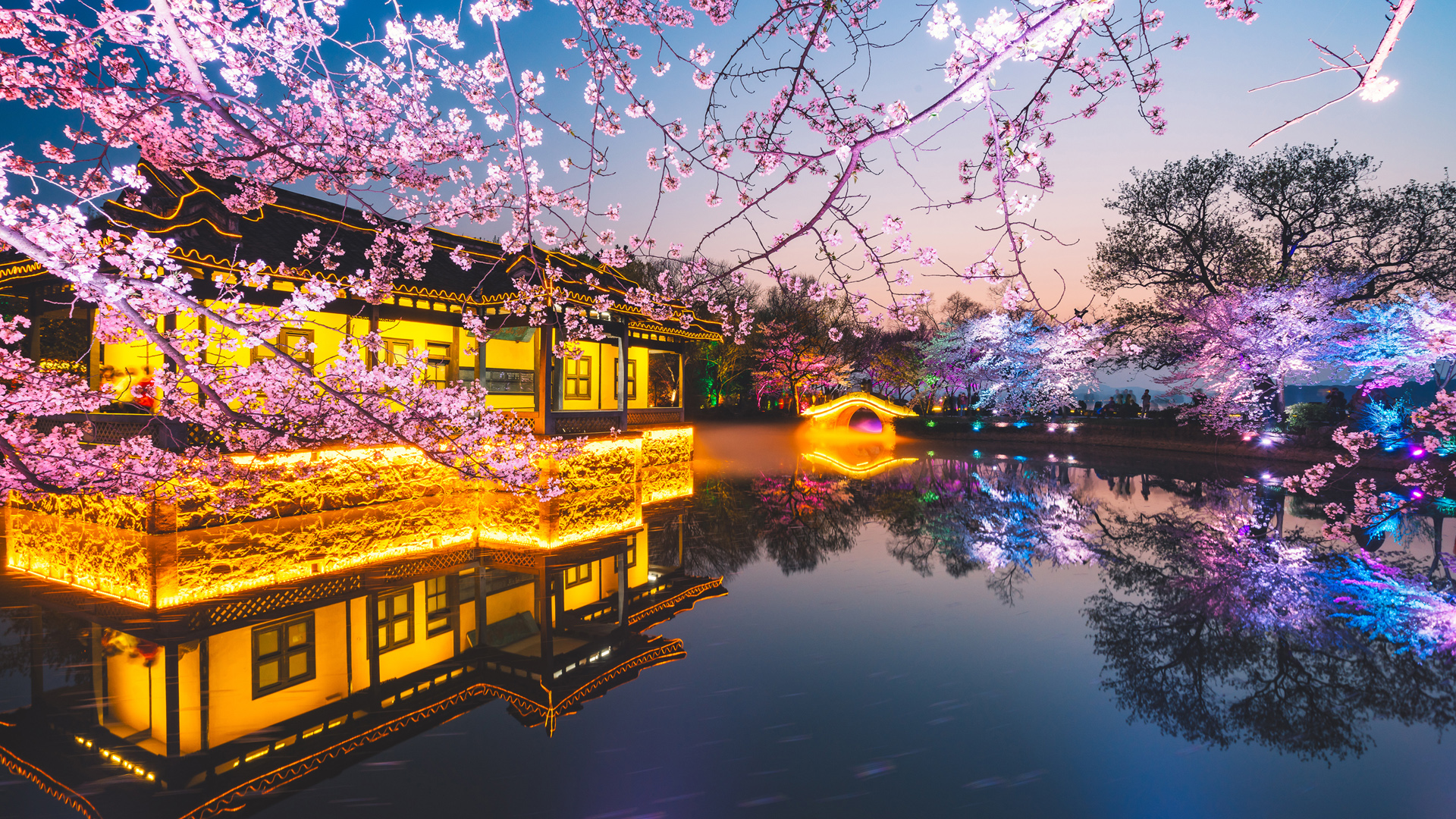 无锡鼋头渚樱花盛景，高清壁纸免费下载，装点你的电脑桌面