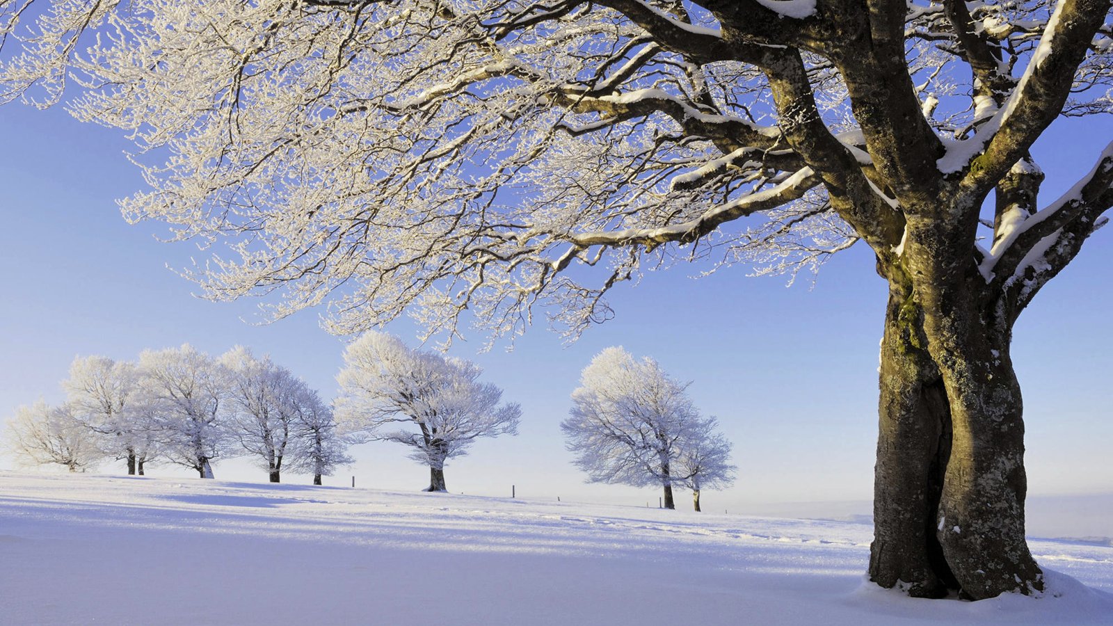 德国黑森林雪景桌面壁纸，绝美风光，免费下载！