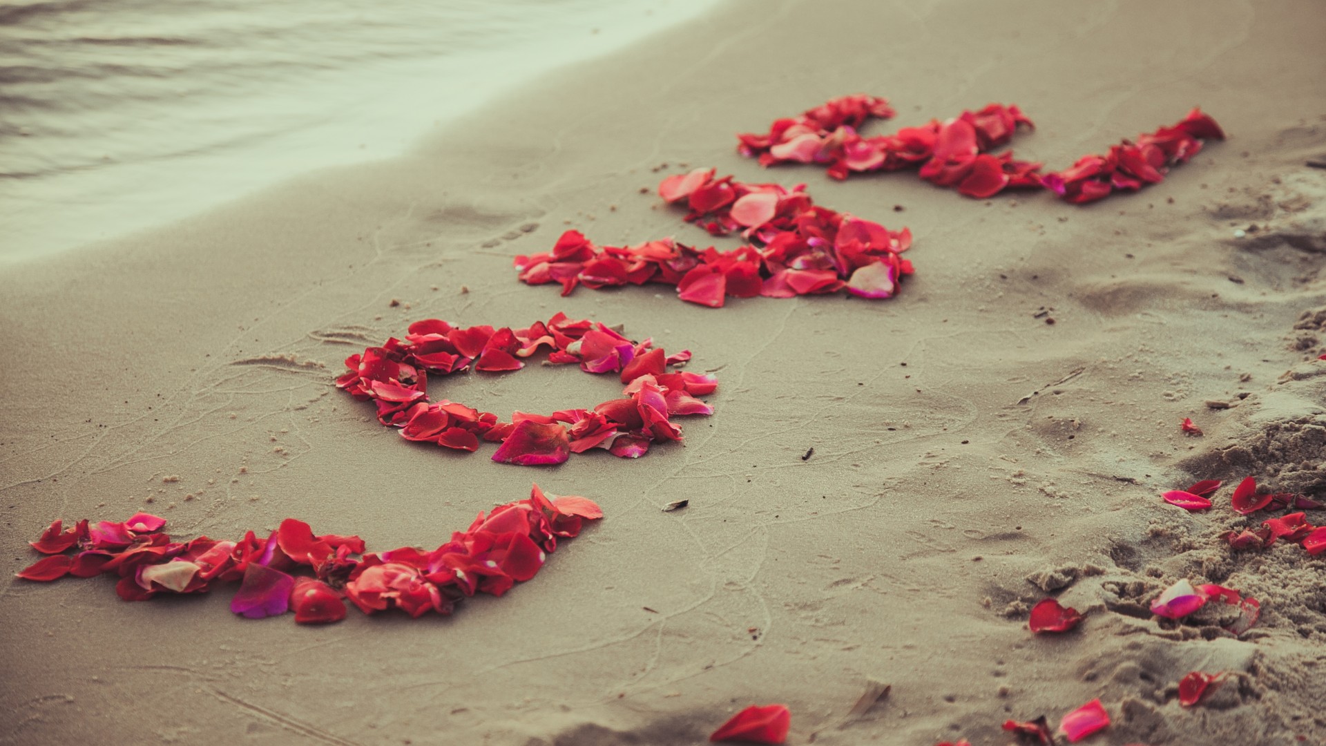 爱情，浪漫，甜蜜，花瓣，沙滩，大海，love，桌面壁纸