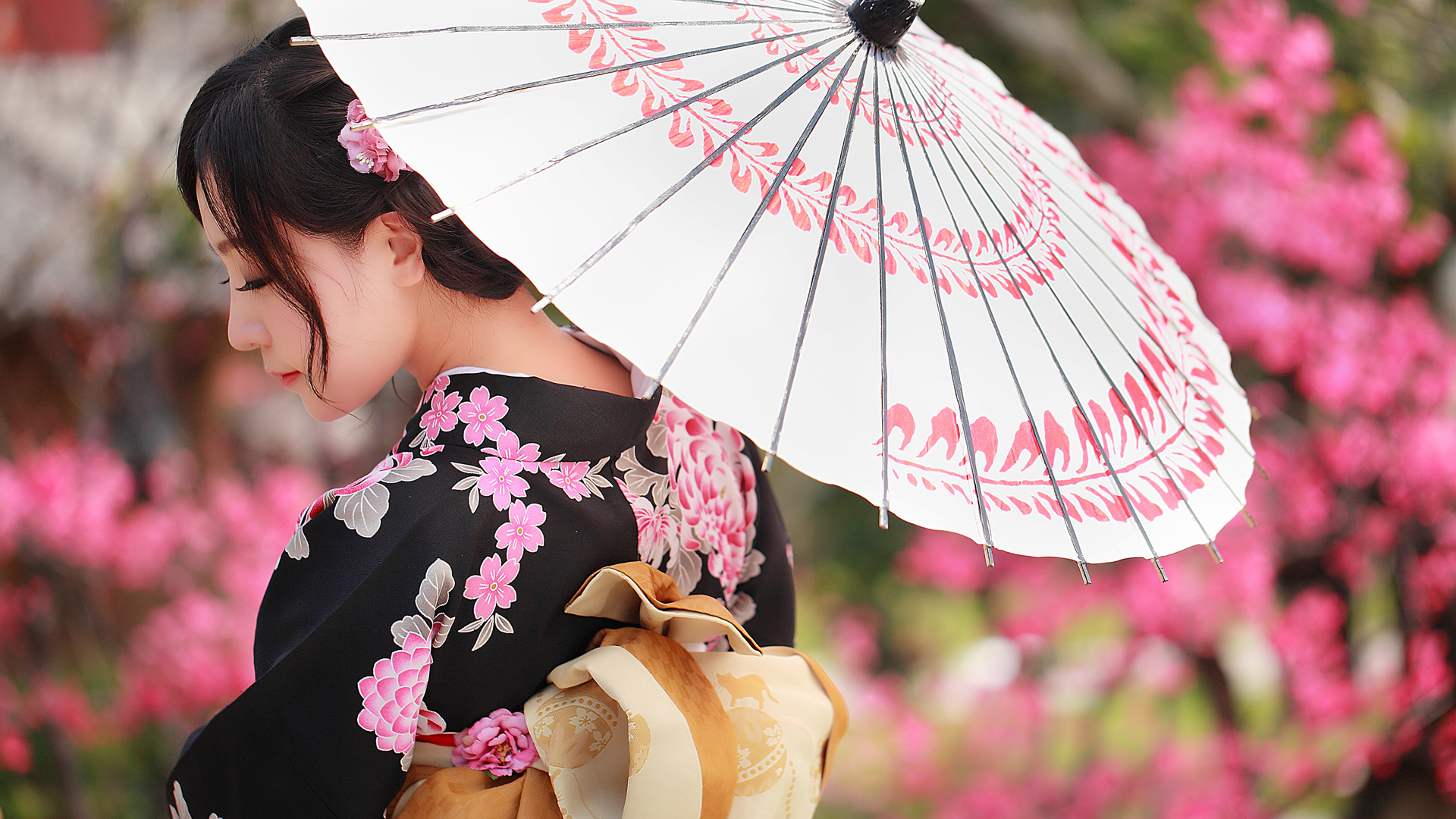 和服樱花美女桌面壁纸，免费日本风情电脑壁纸下载