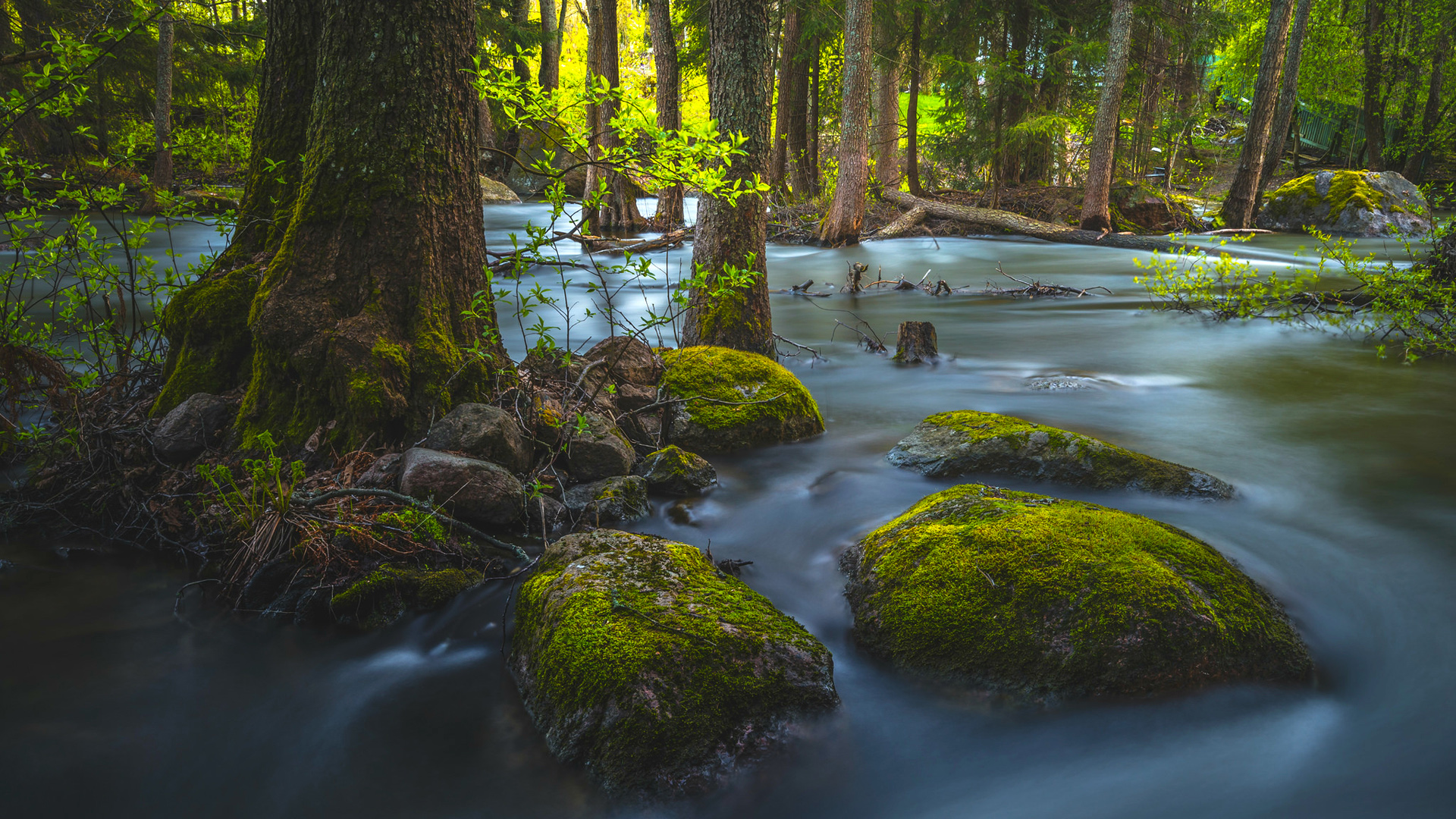 自然之美桌面壁纸，树木岩石苔藓流水，免费高清风景下载