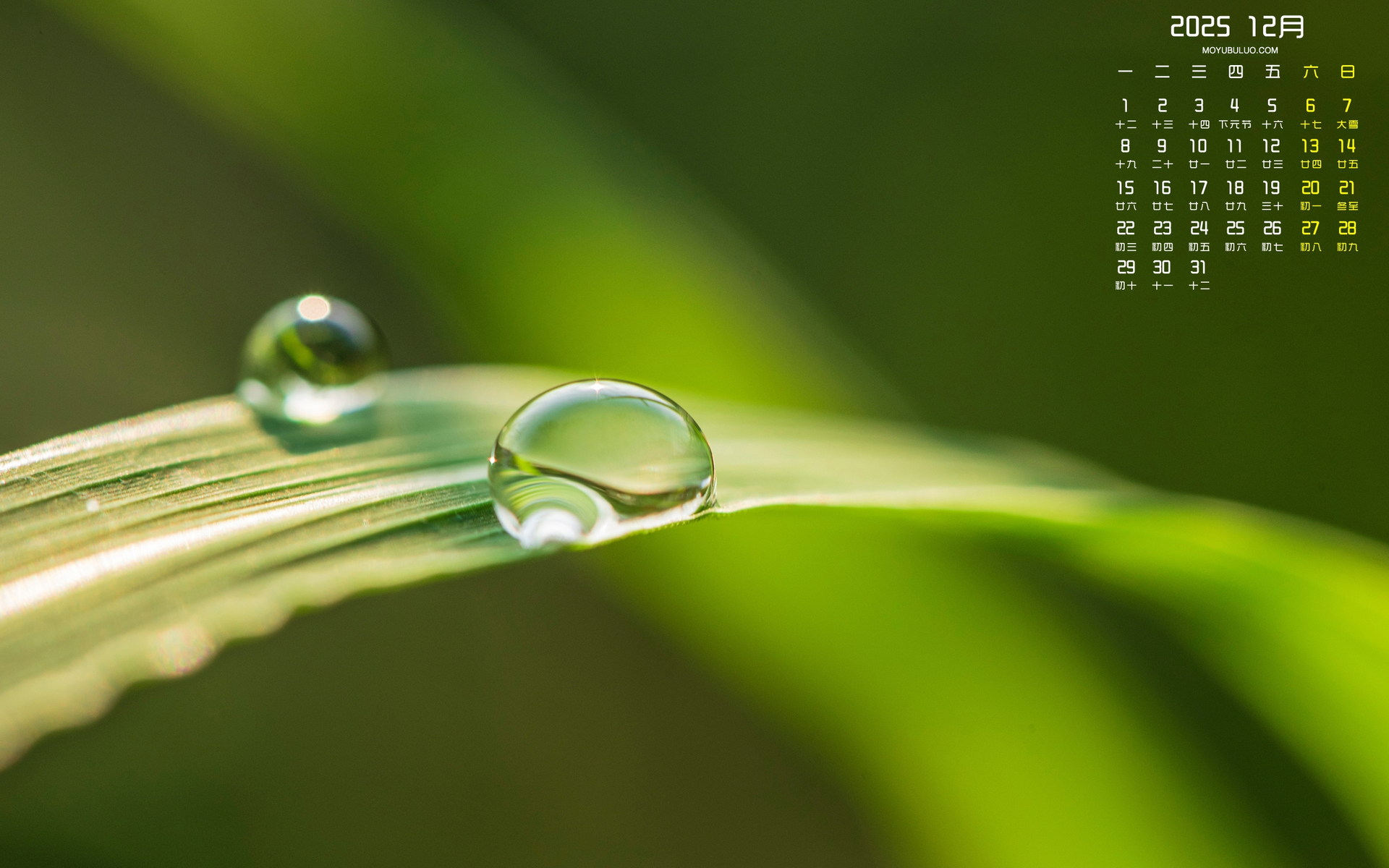 2025年12月露珠护眼电脑日历壁纸免费下载