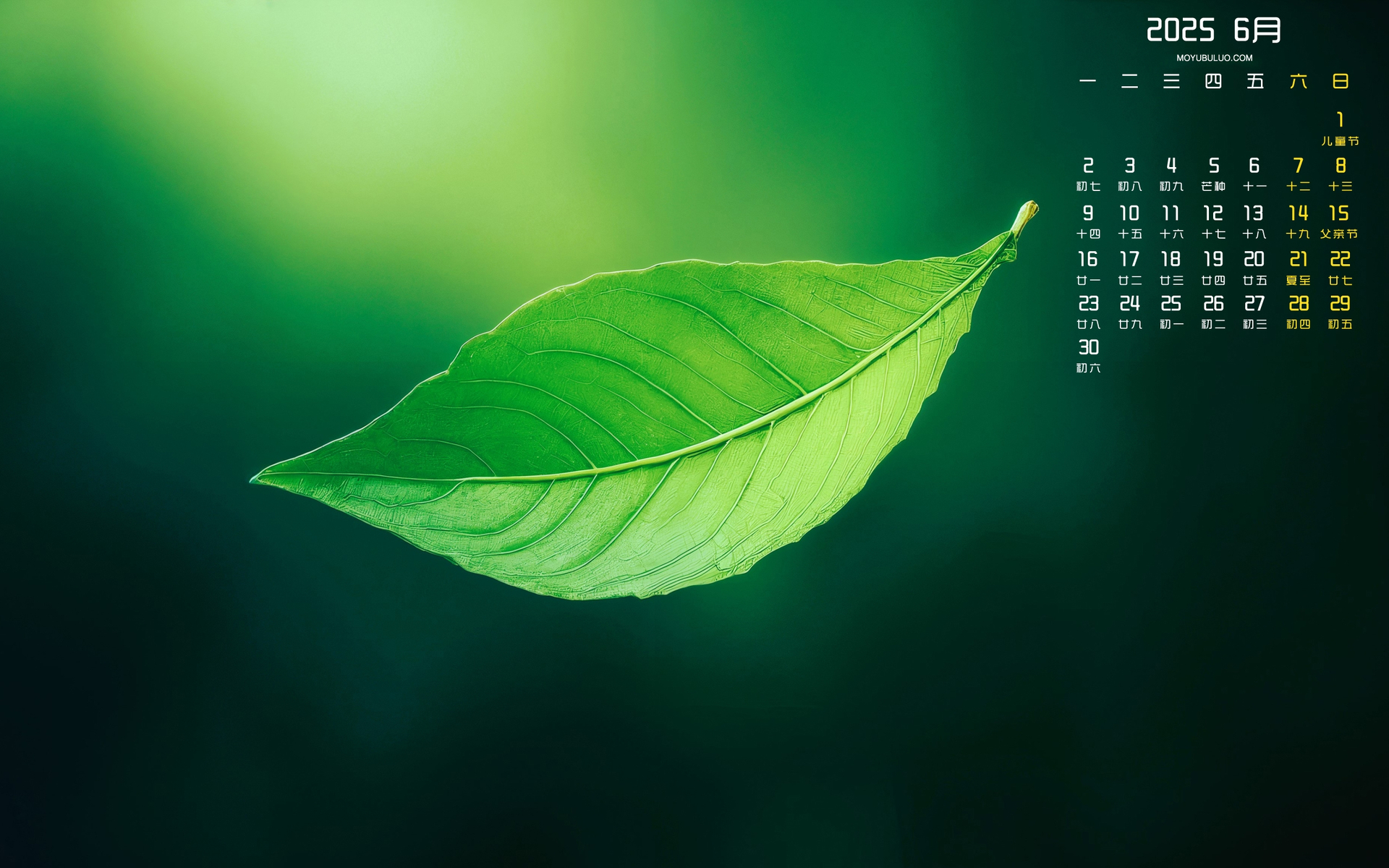 绿叶2025年6月电脑日历壁纸 免费下载
