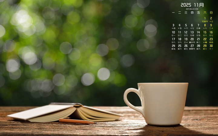 书和水杯2025年11月电脑桌面日历壁纸