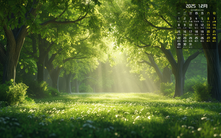 森林阳光风景2025年12月日历桌面壁纸护眼