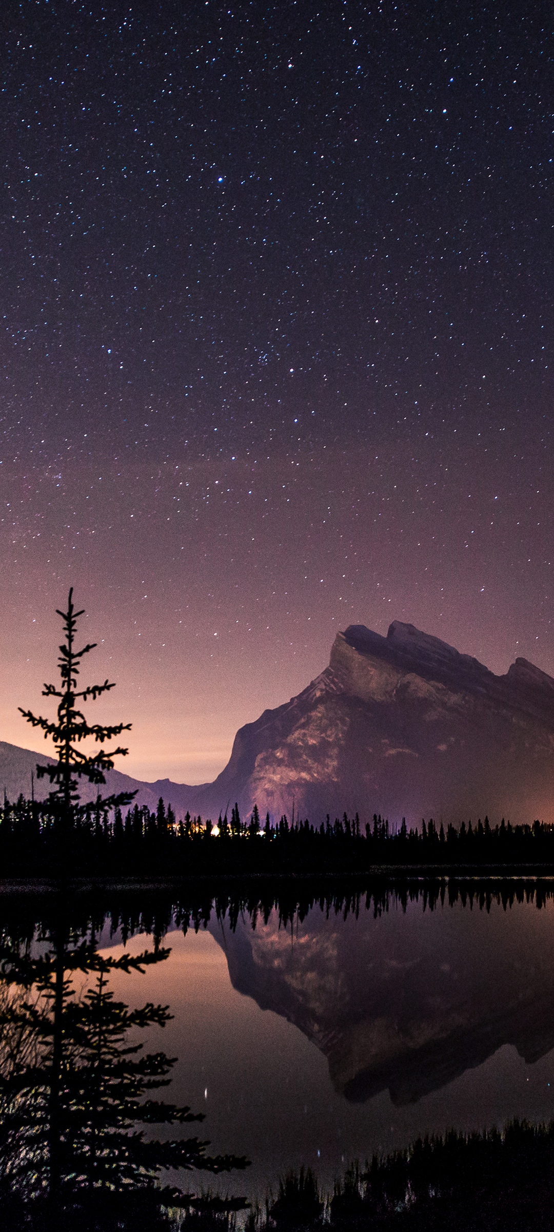 星空湖树夜景全屏壁纸，免费下载手机美化背景